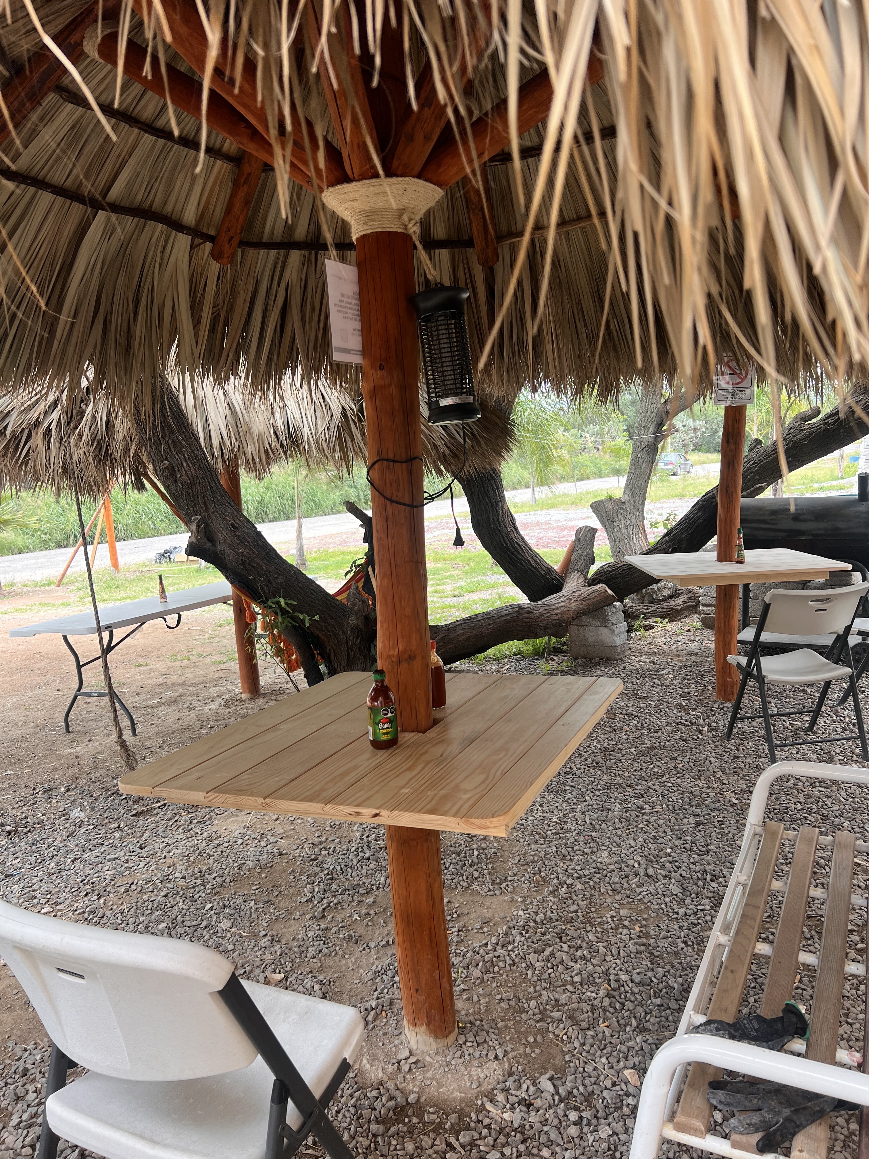 El mezquite del Patrón image 4