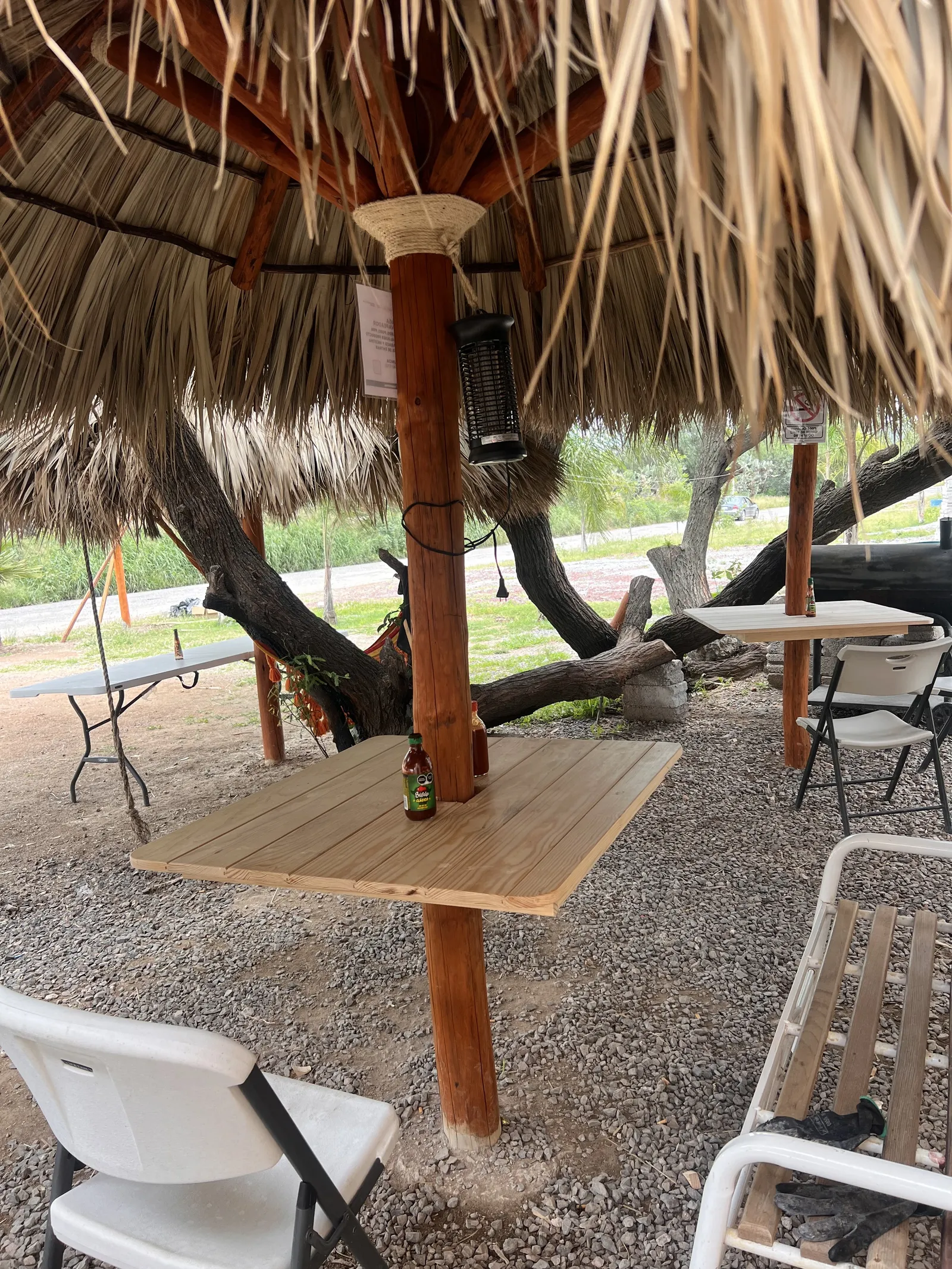 El mezquite del Patrón image 4