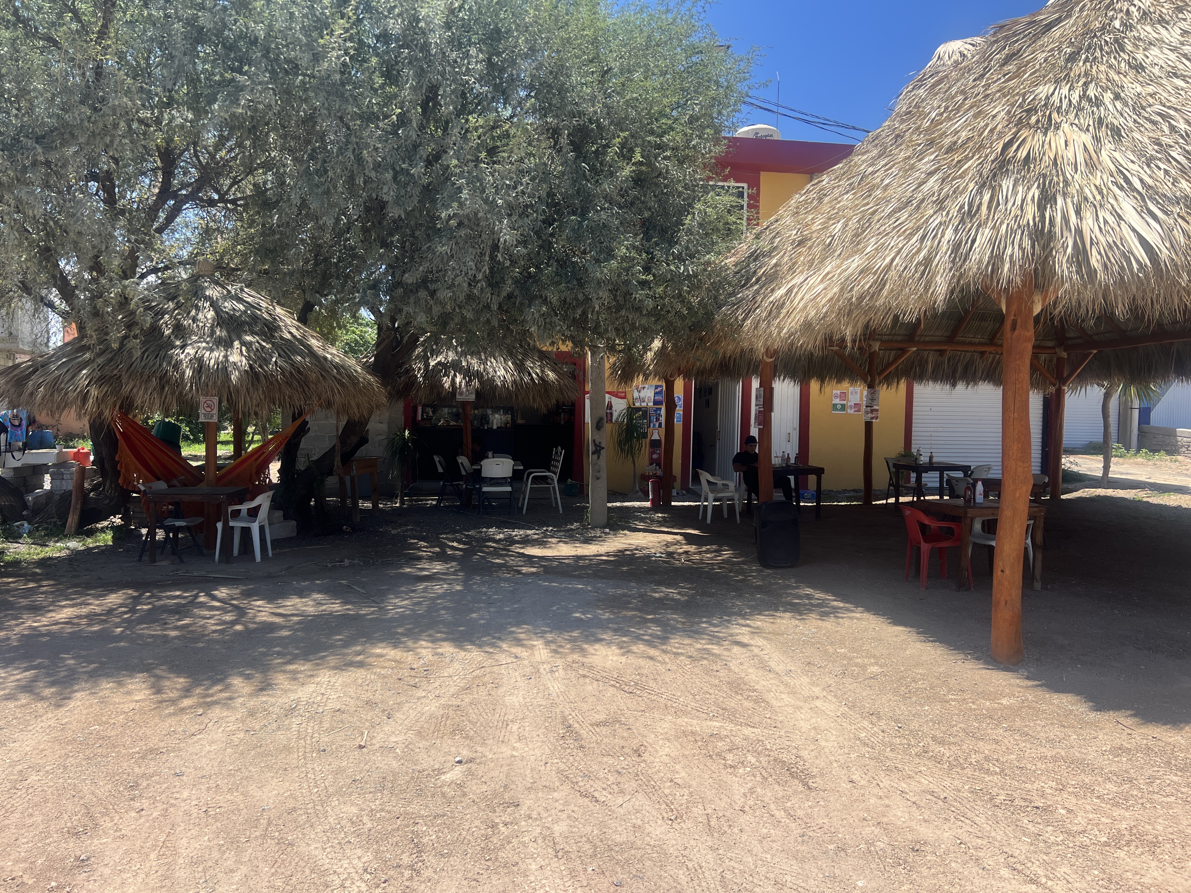 El mezquite del Patrón image 5