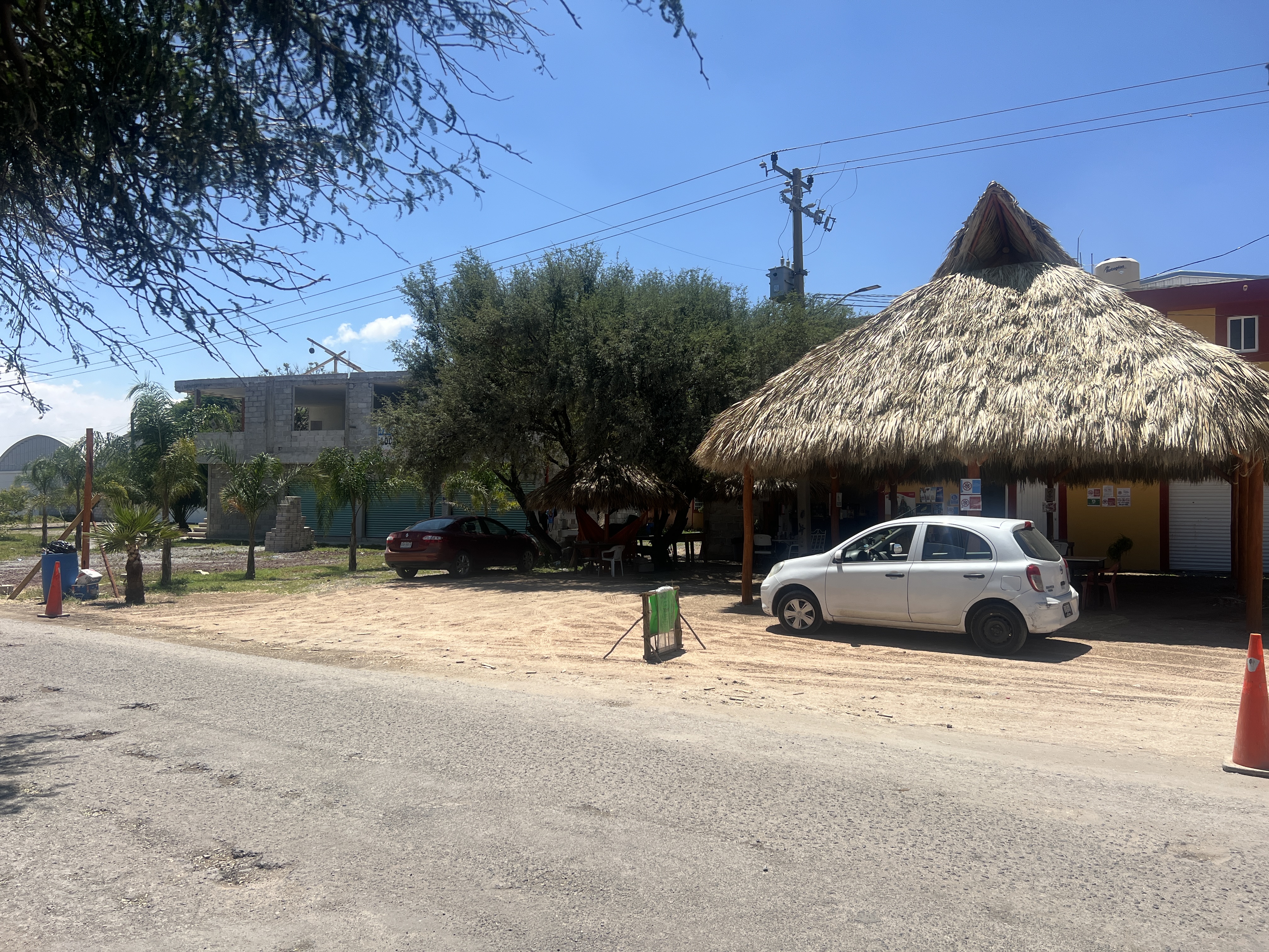 El mezquite del Patrón image 6