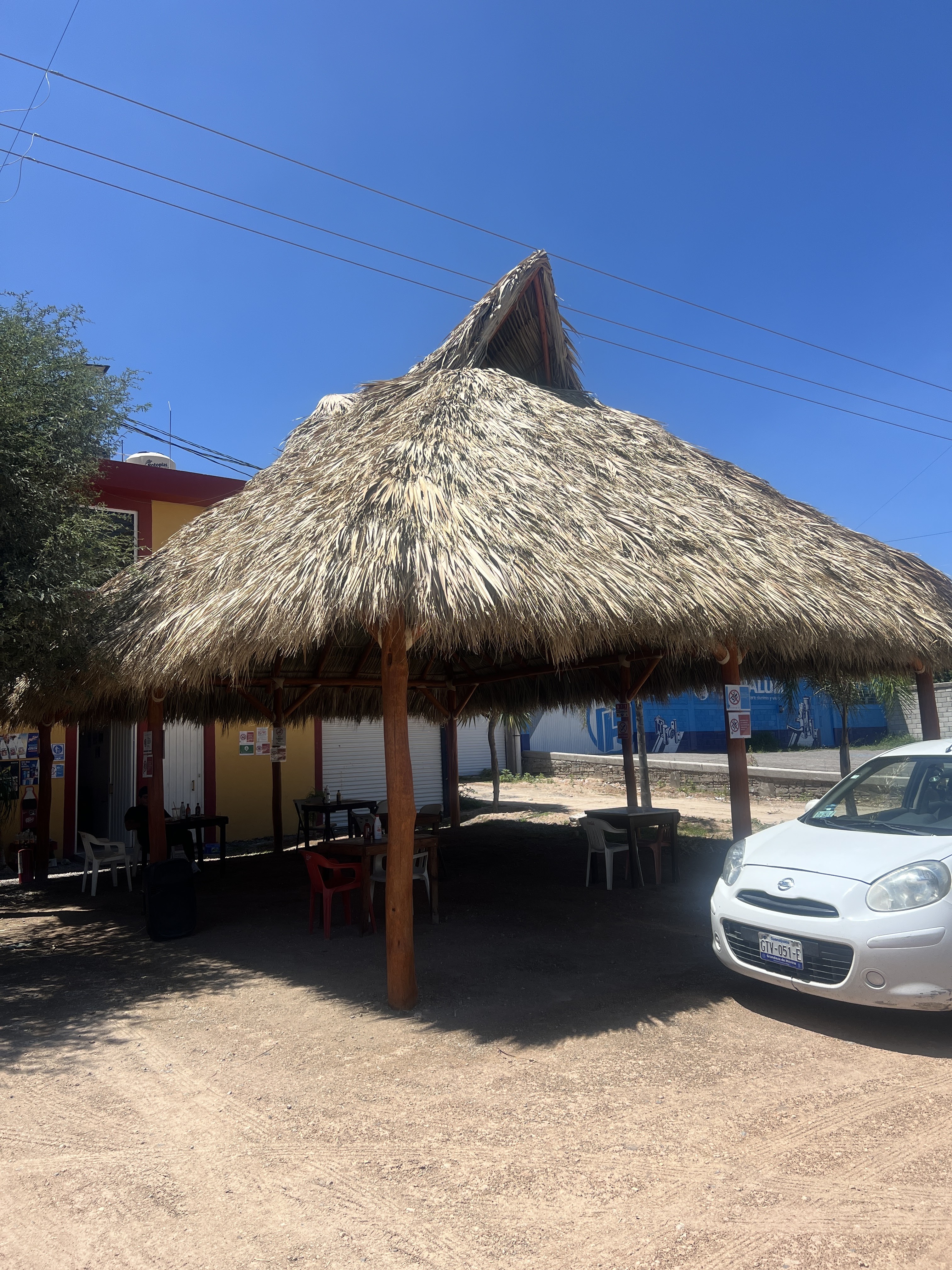 El mezquite del Patrón image 7