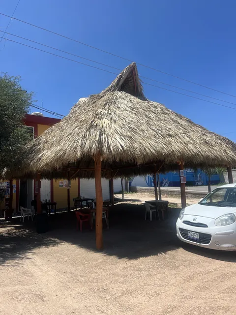 El mezquite del Patrón image 7