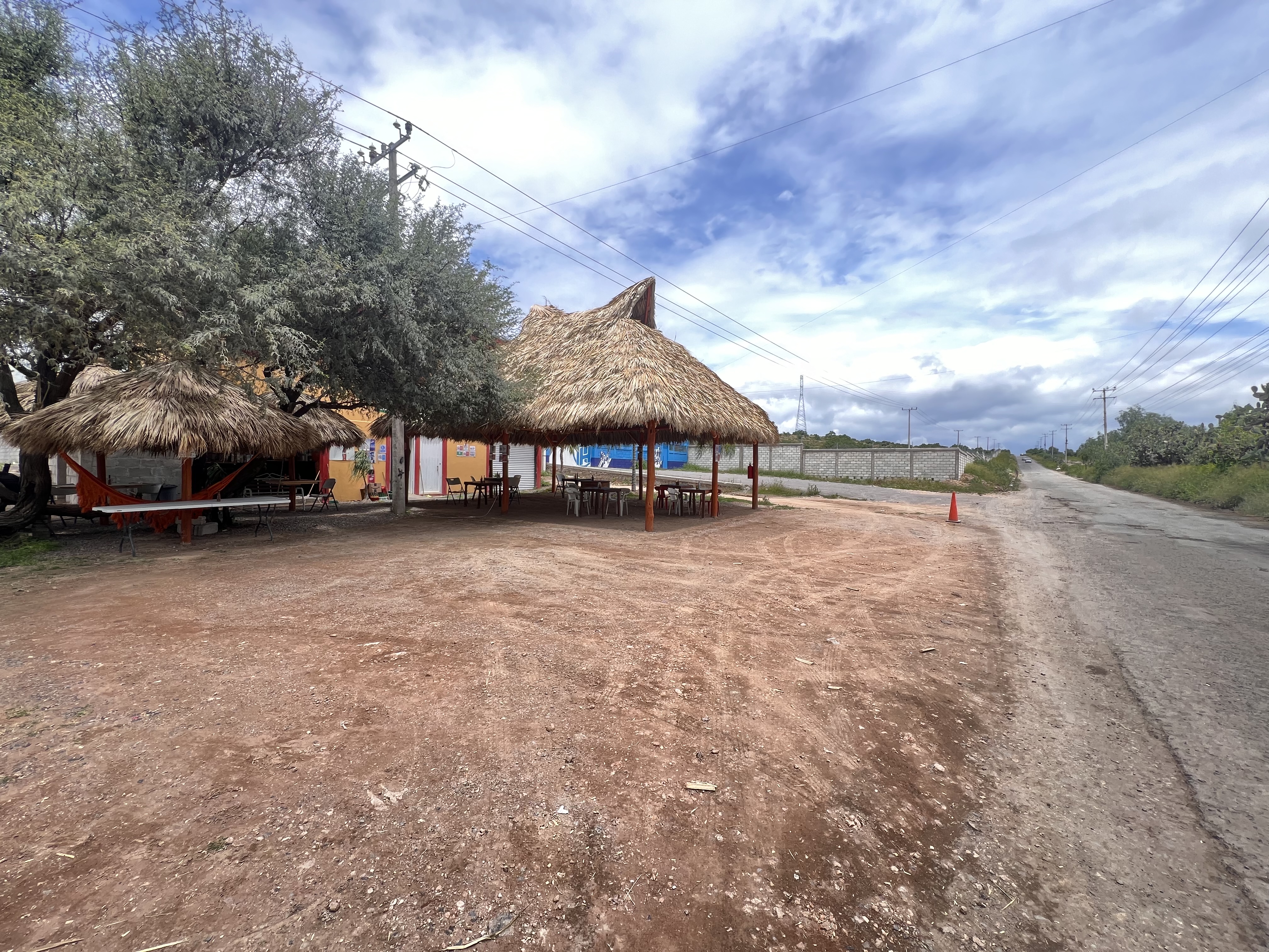 El mezquite del Patrón image 8