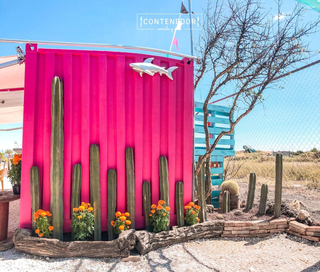 ConTenedor - Normaya image 3