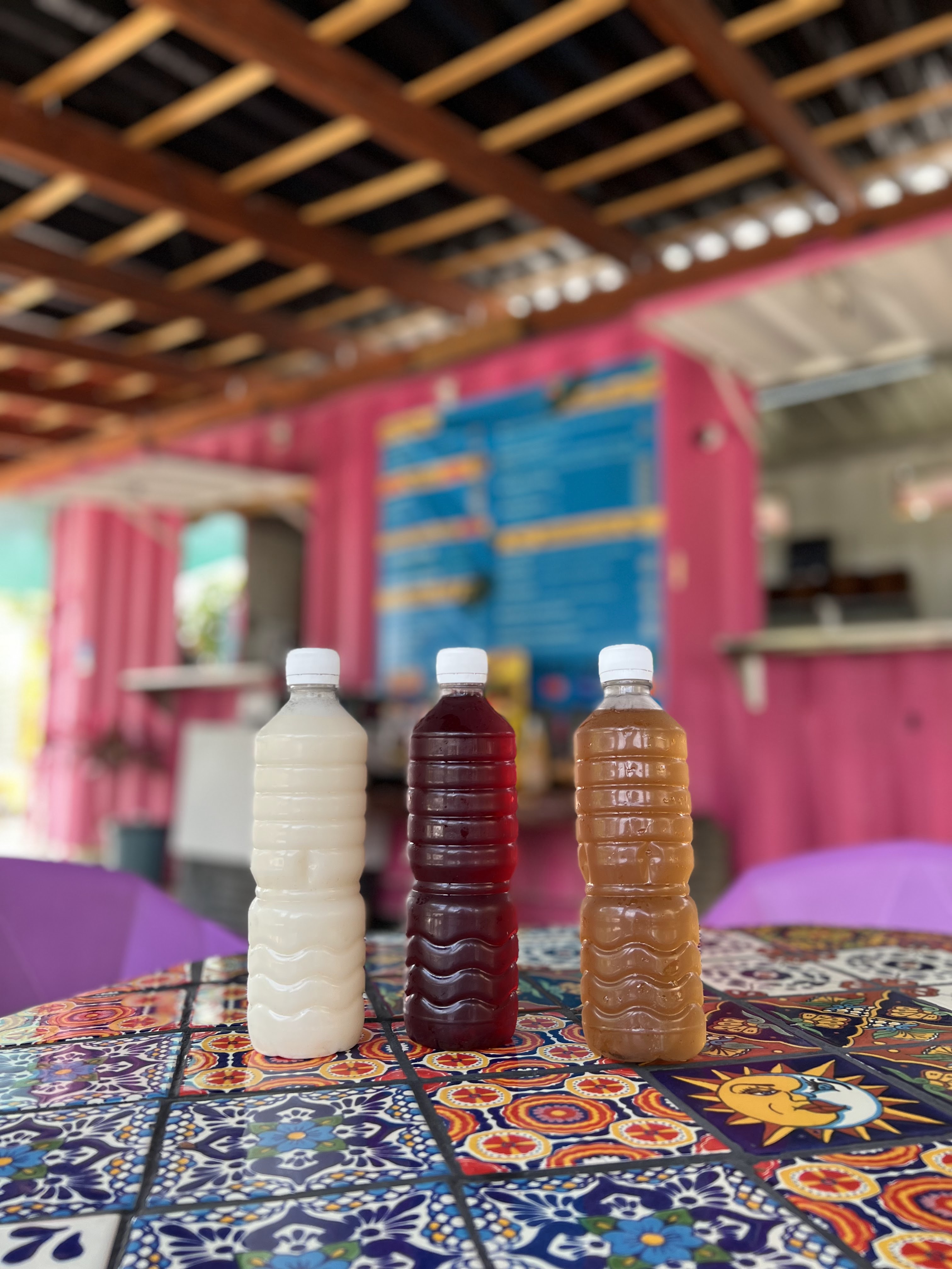 ConTenedor - Normaya image 8