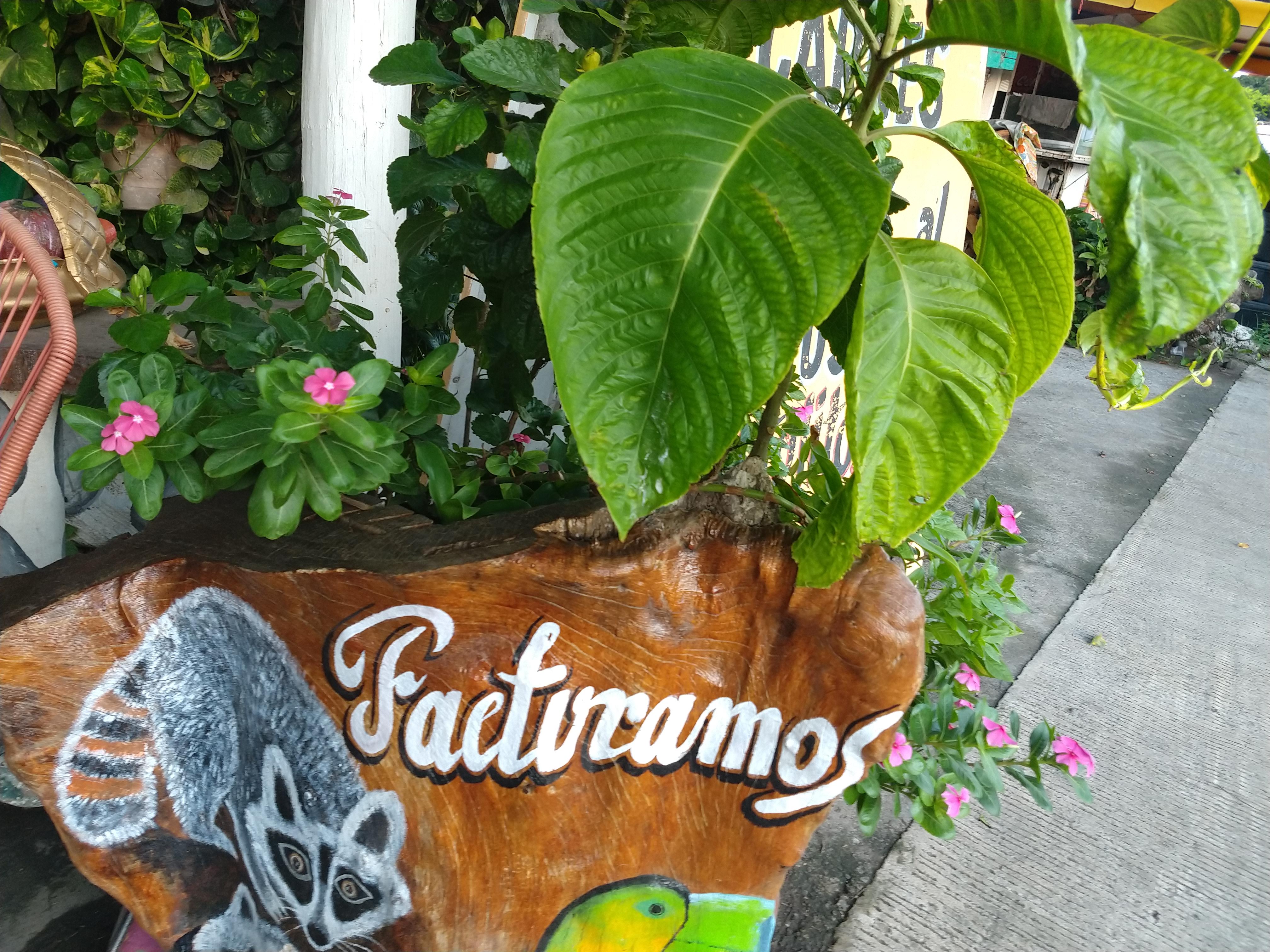 Restaurant Anthony image 7