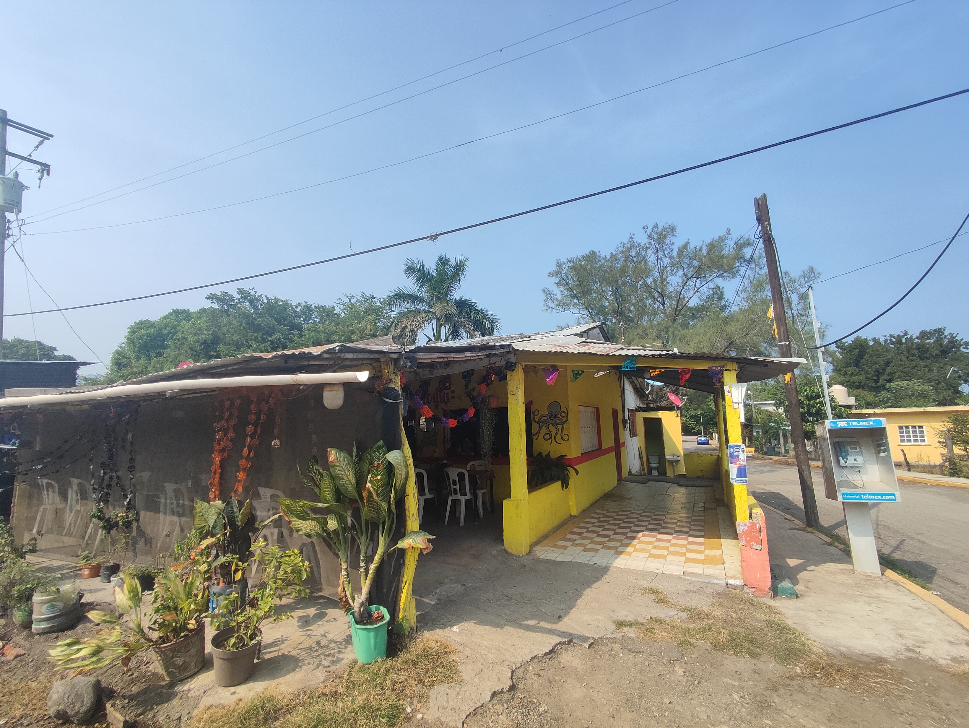 Restaurante ELODIA image 7