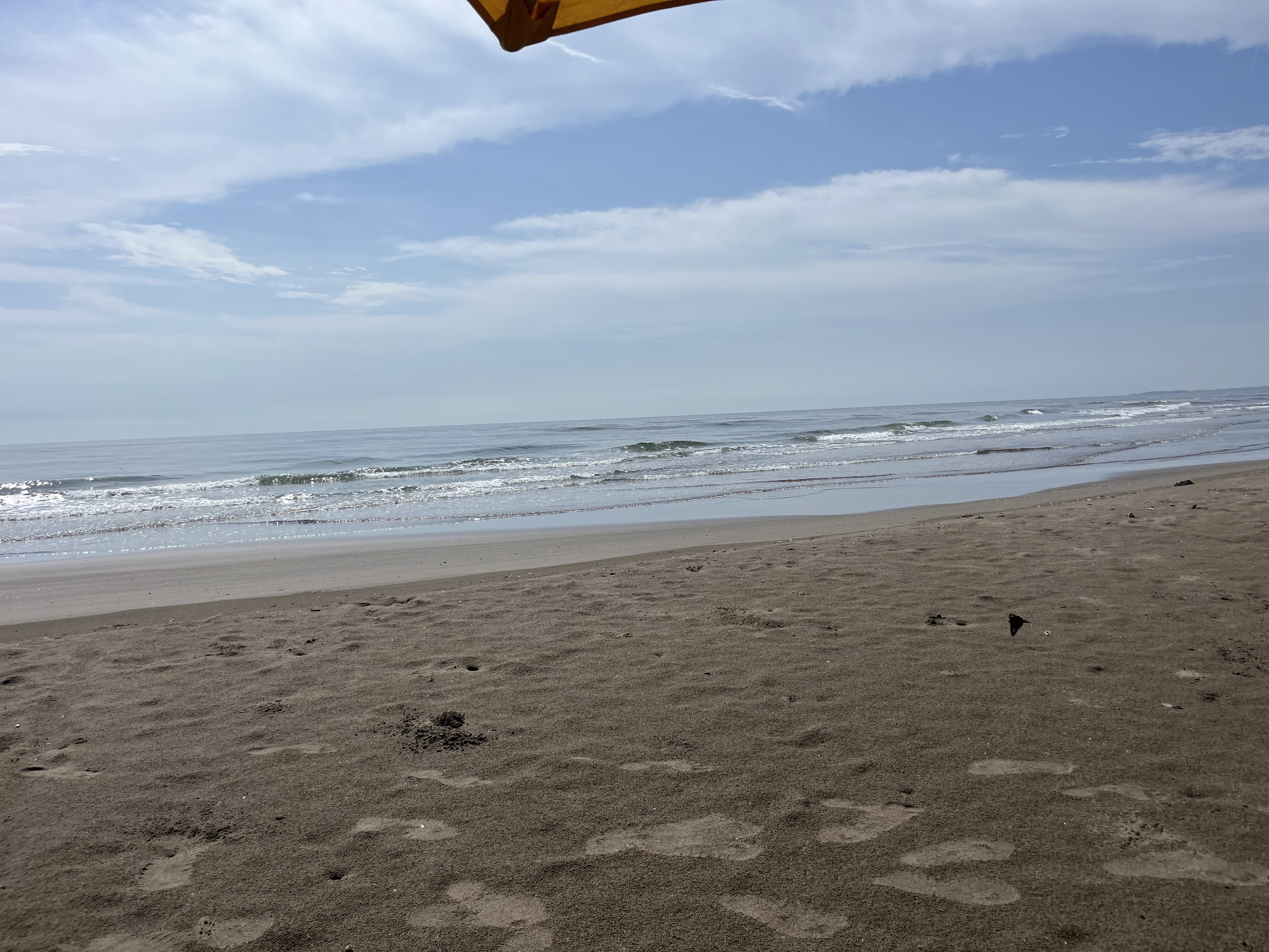 RESTAURANTE PARAISO DE LA MANCHA image 4