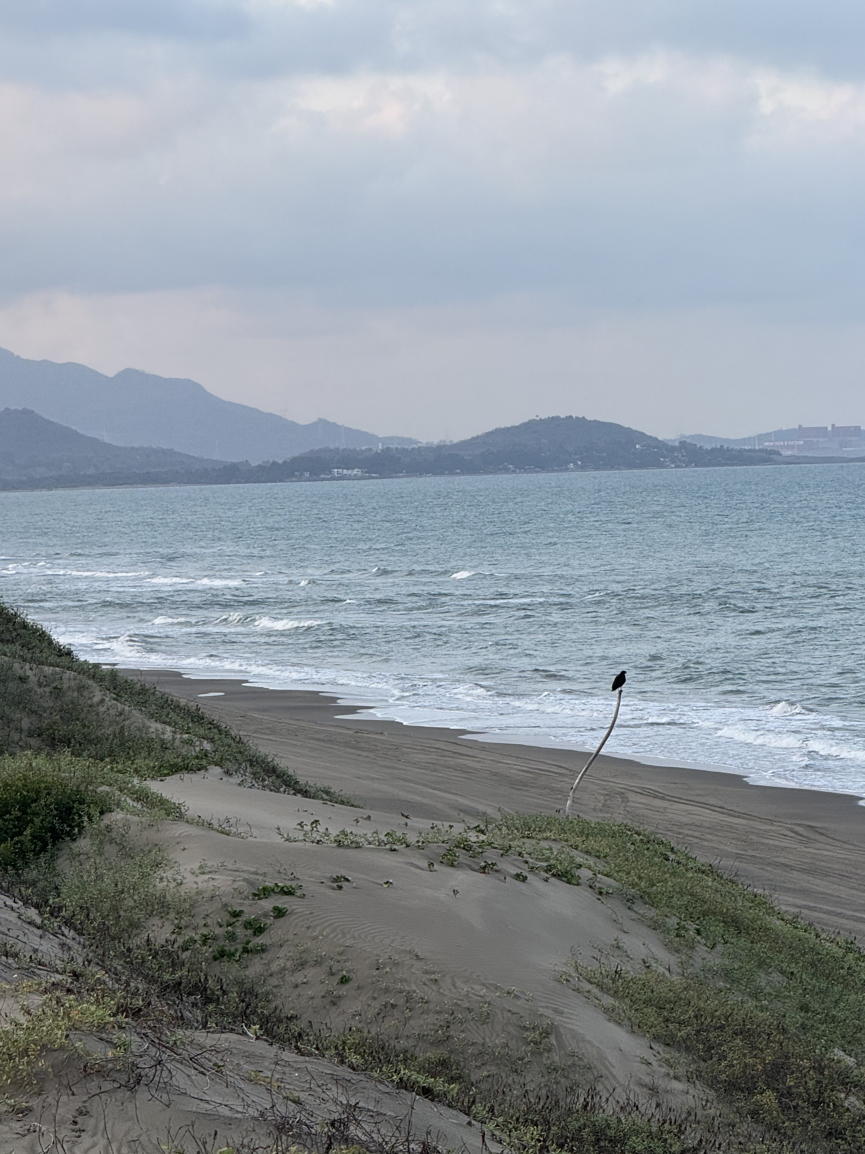 Restaurante Mere image 8