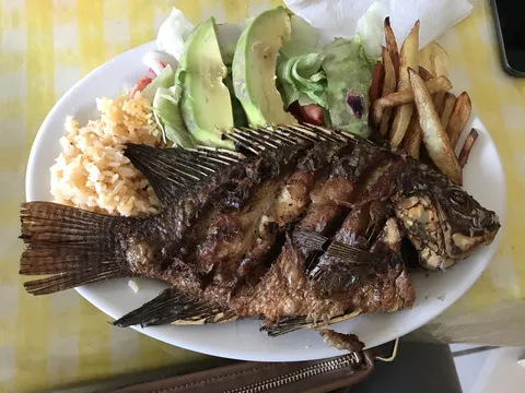 Restaurant El Delfín image 3