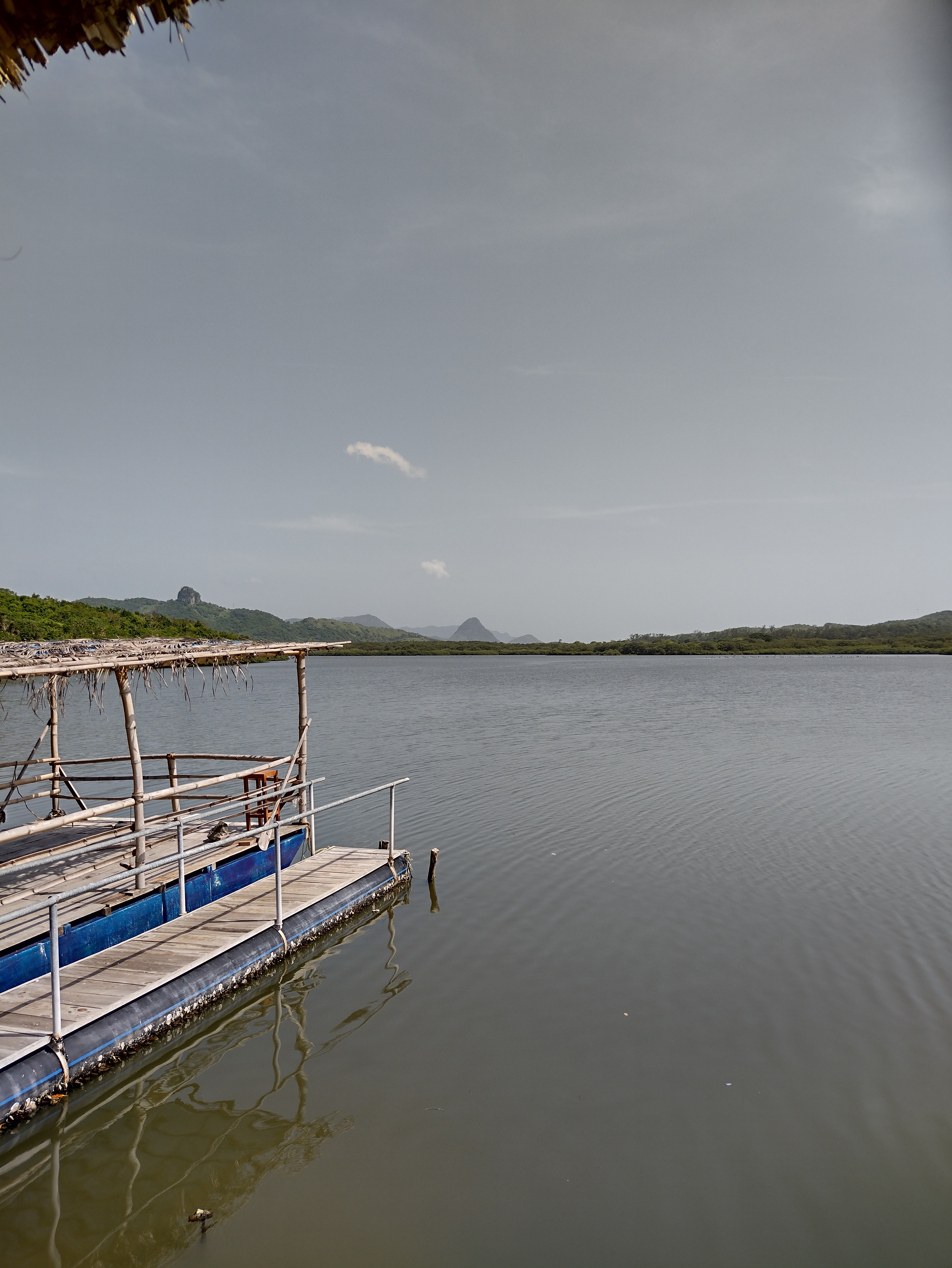 Restaurante El Manglar La Mancha image 7