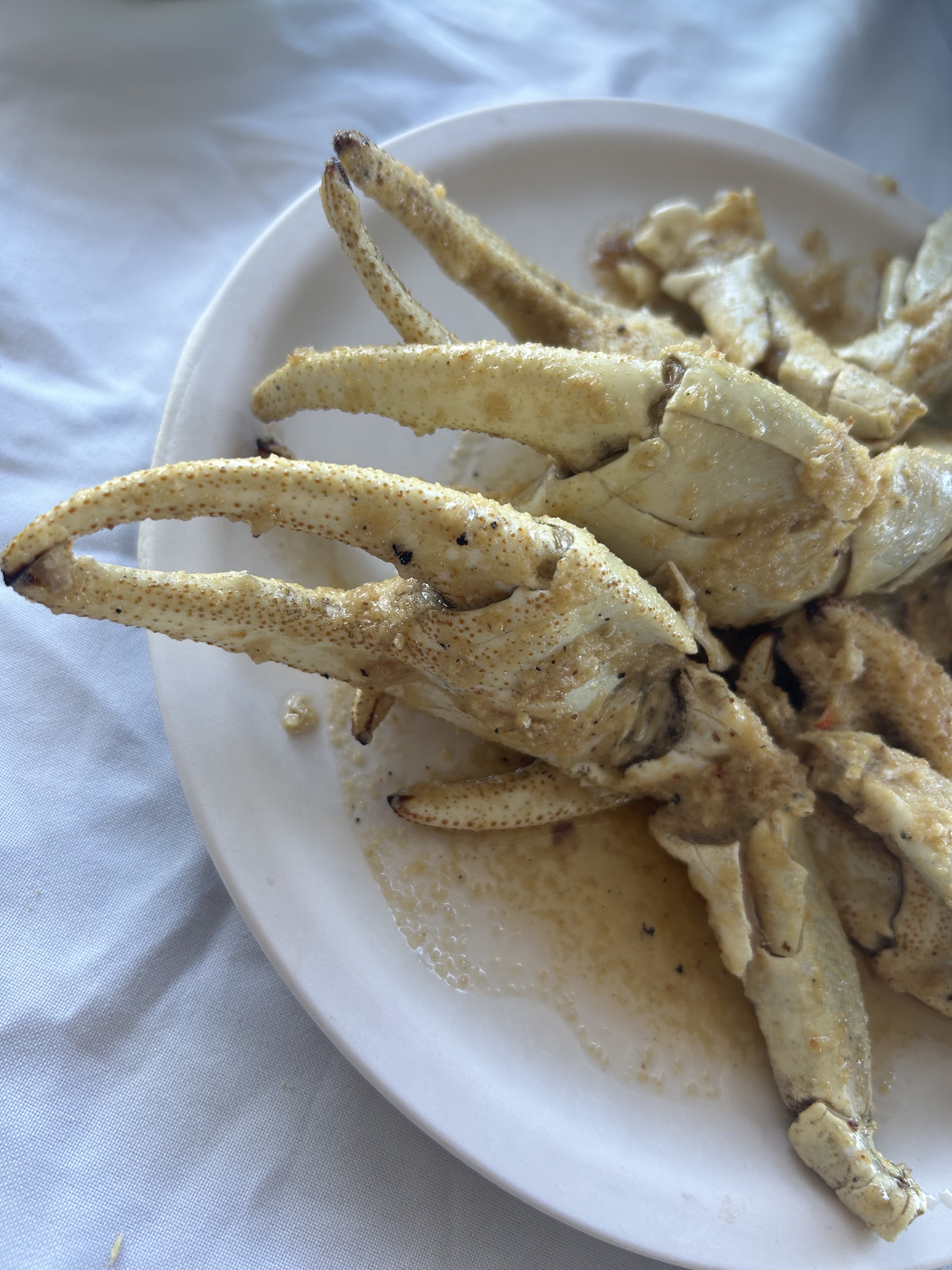 Restaurant El Porro image 10