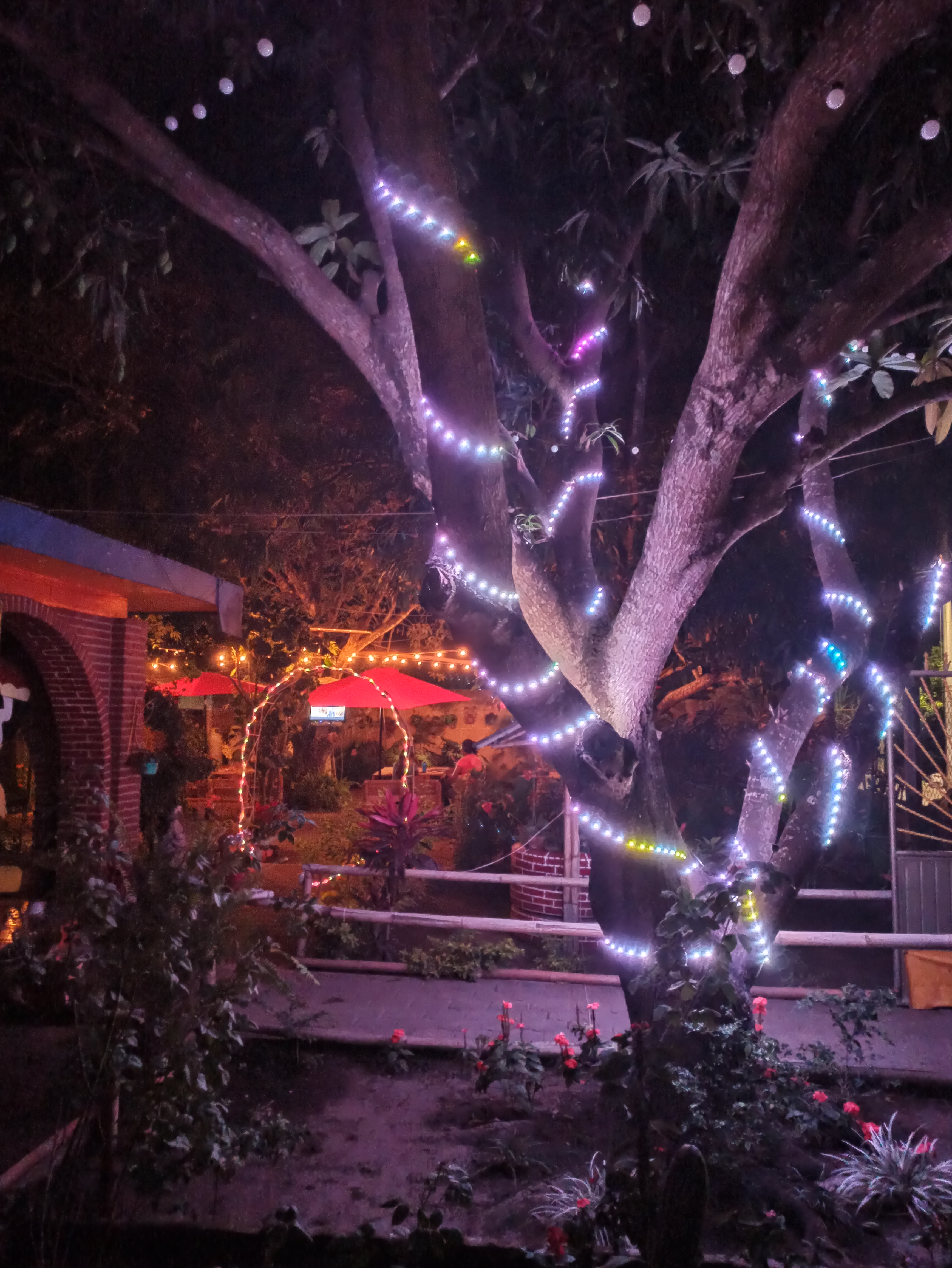 Sr. Pizza´s image 5