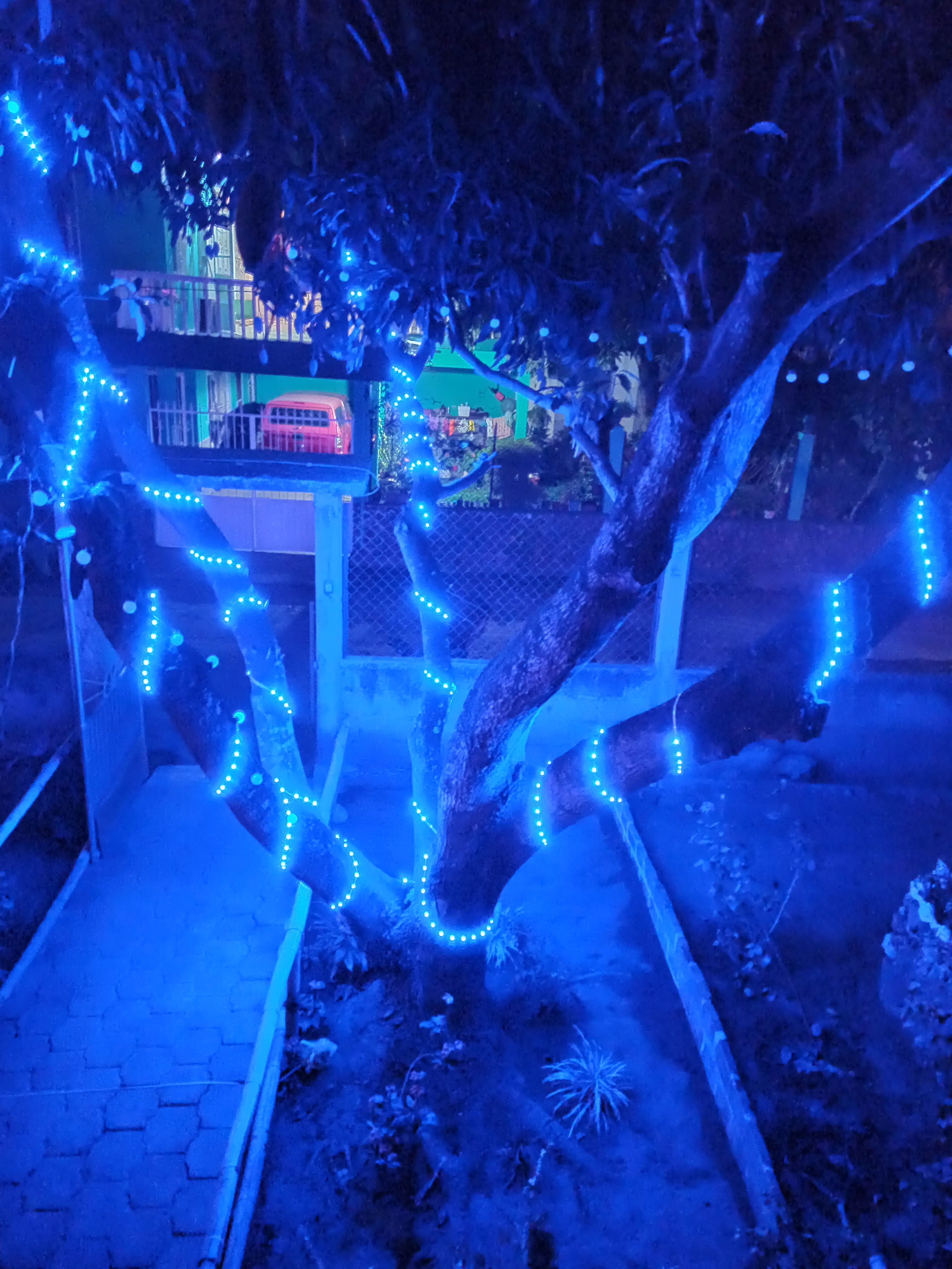 Sr. Pizza´s image 7