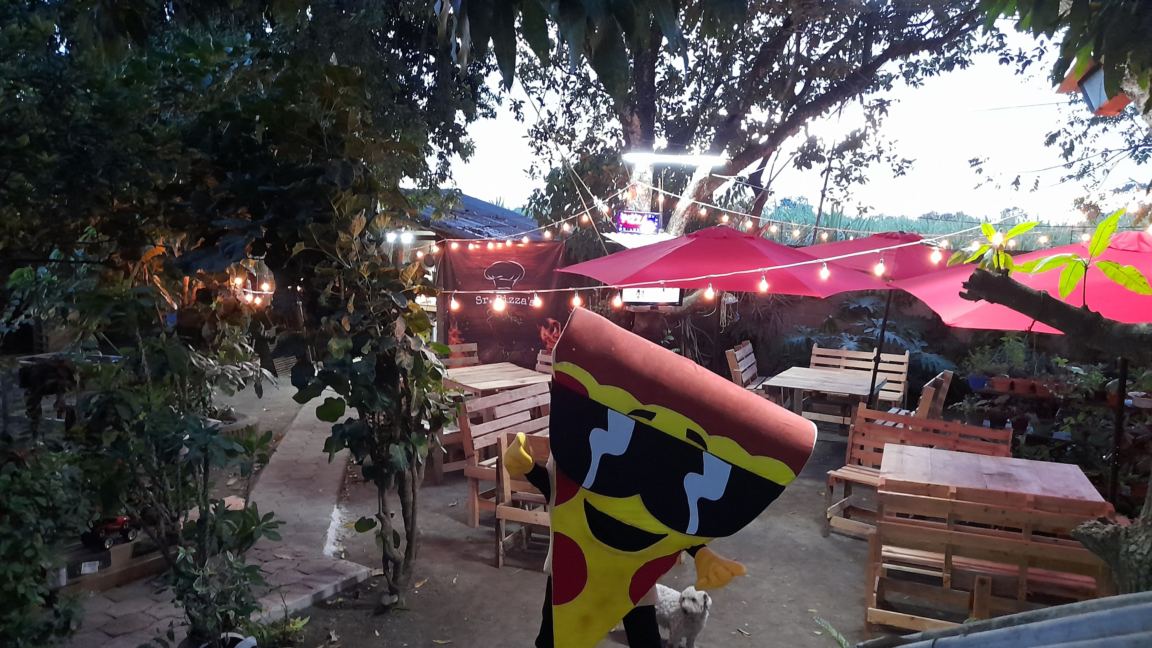 Sr. Pizza´s image 9