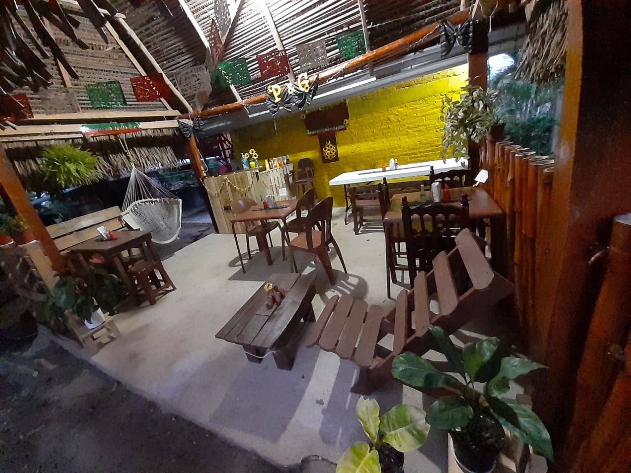 Piña & Girasol image 1