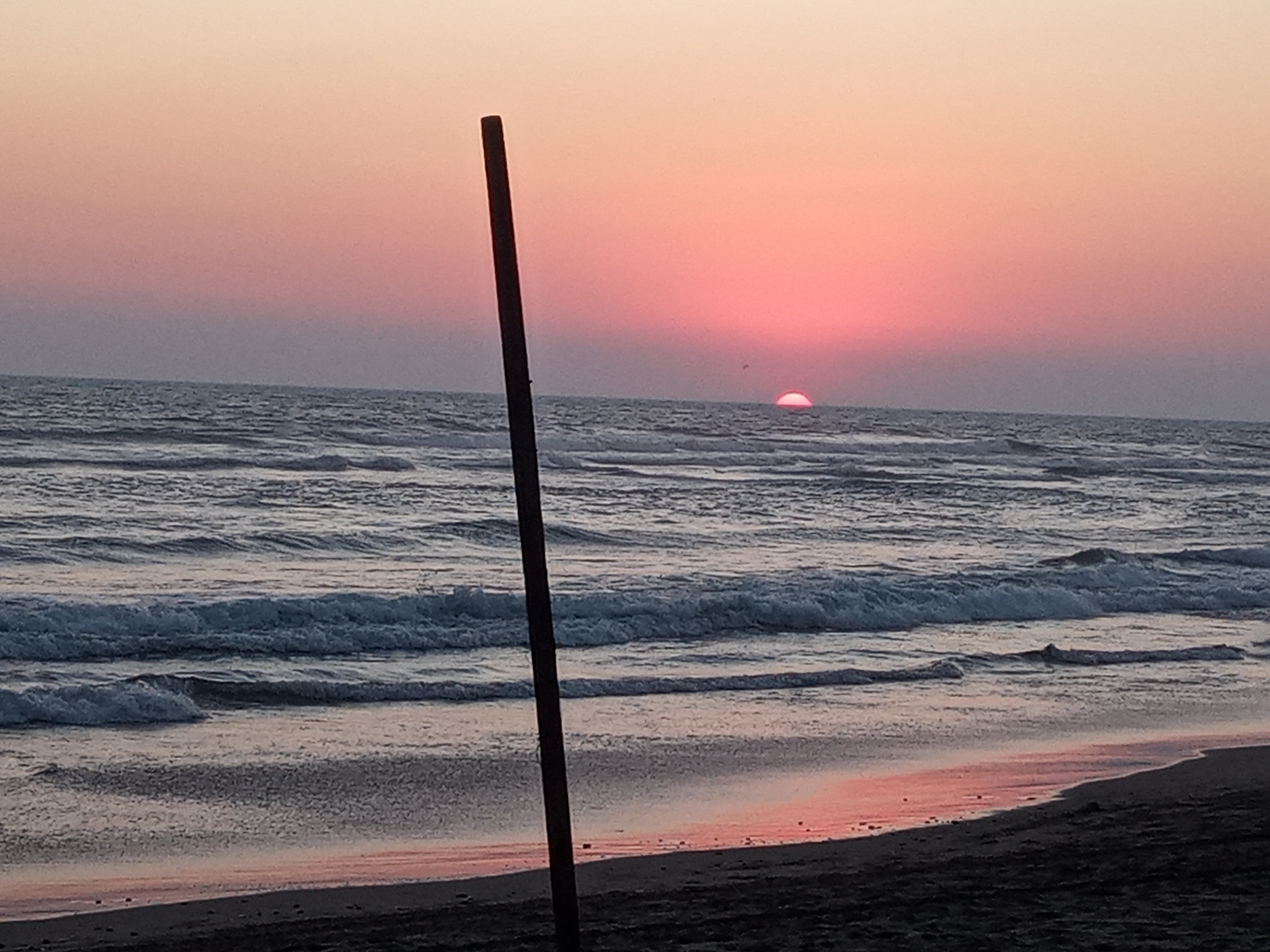 Enramada Sílvia image 7