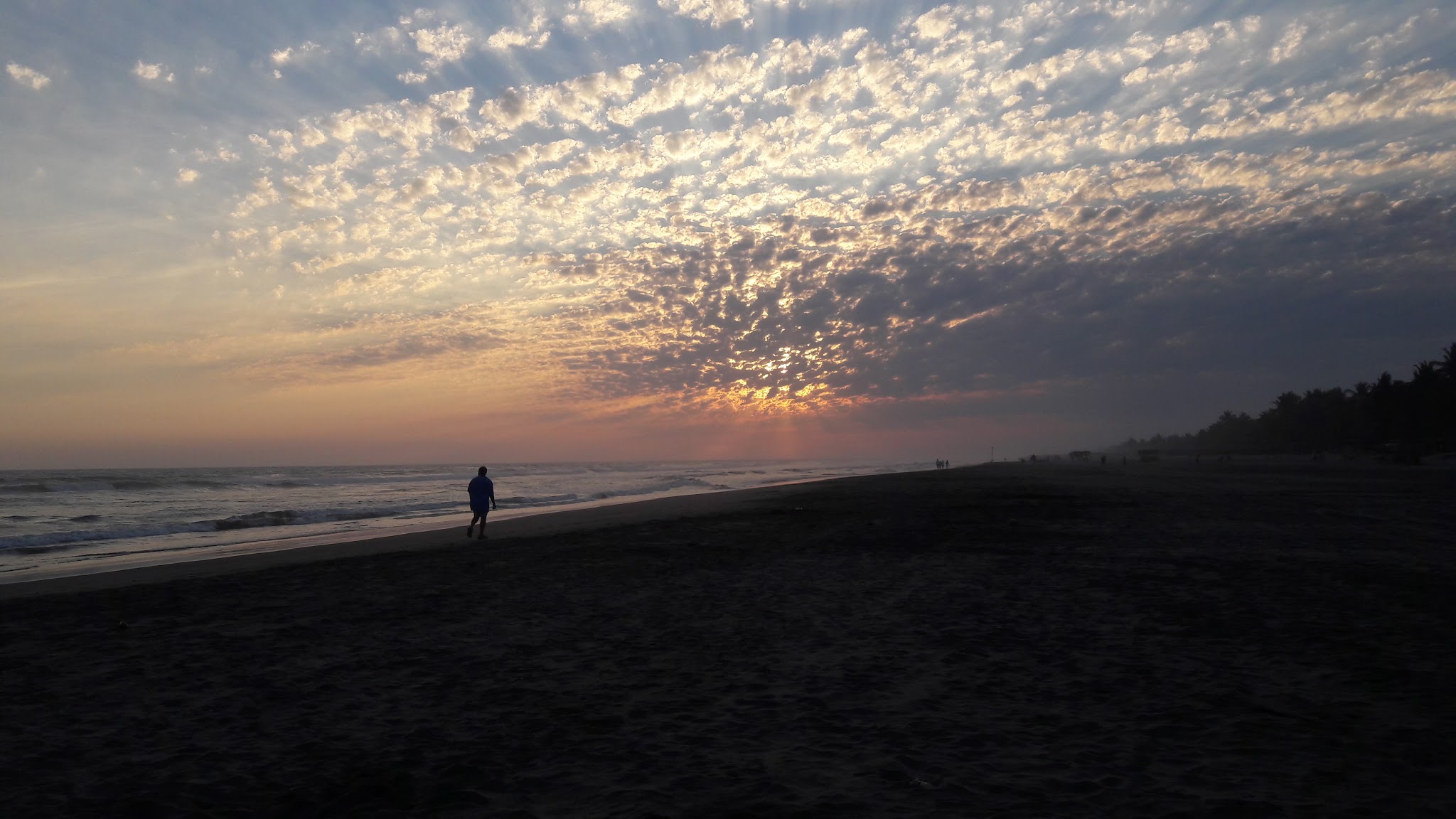 Pollos Asados del Norte image 6