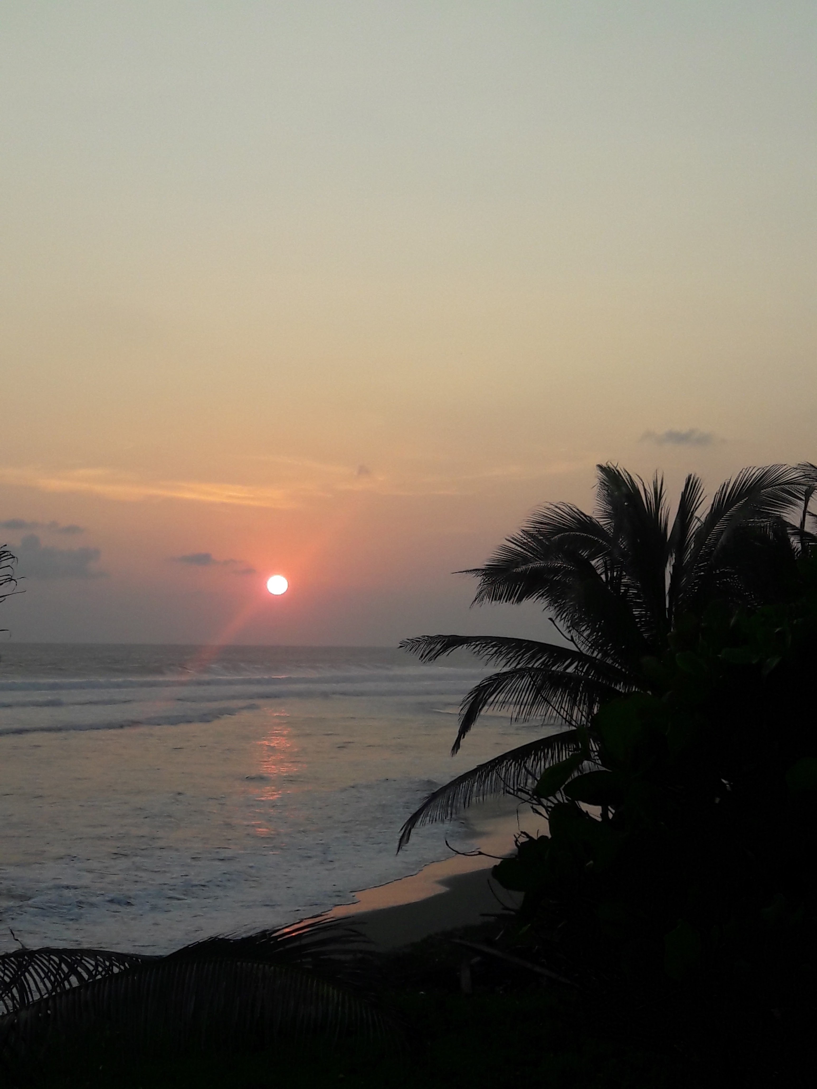 Pollos Asados del Norte image 8