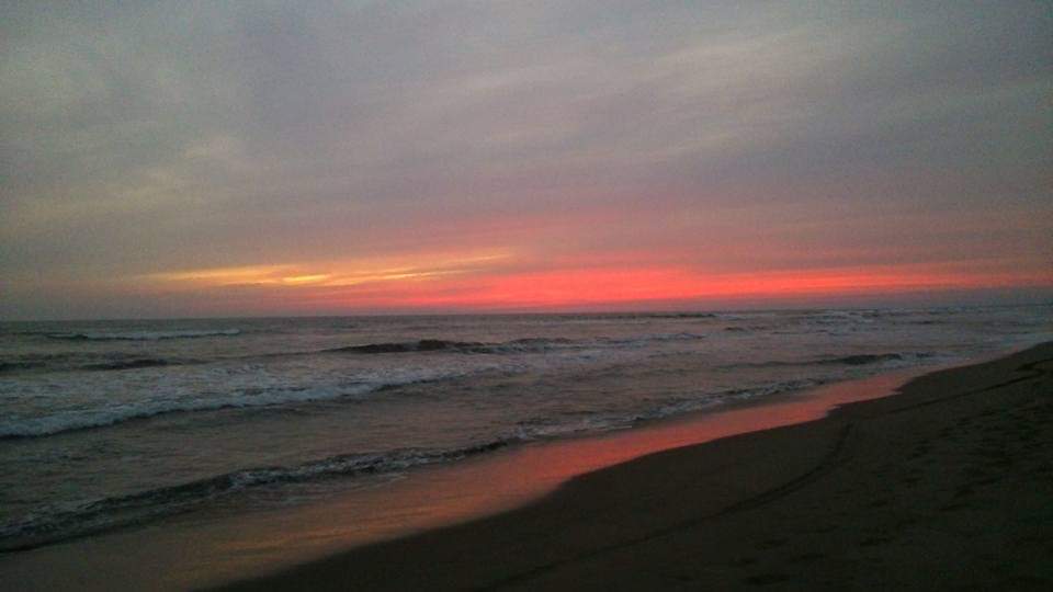 Enramada ROSITA 2 image 4