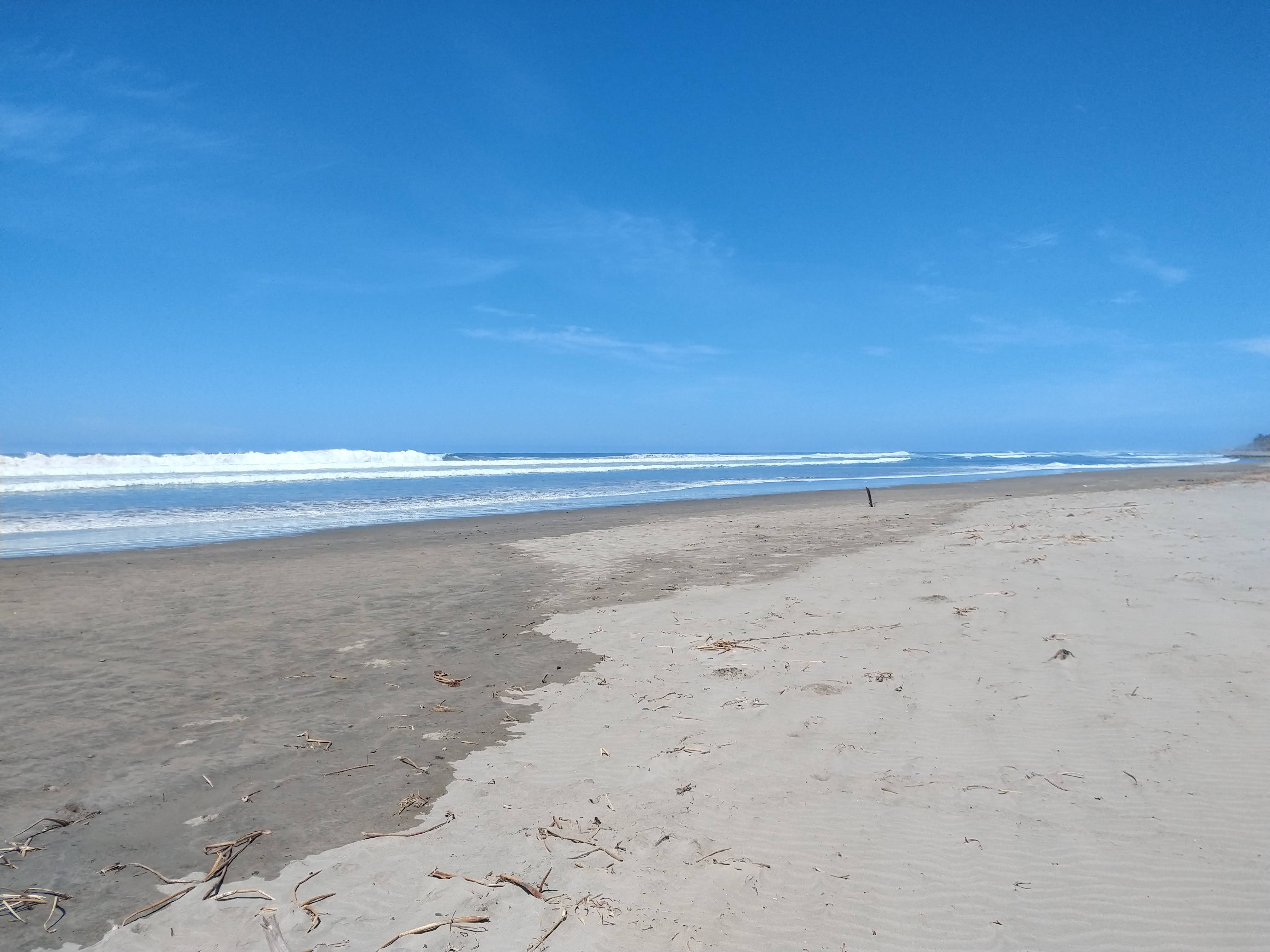 ENRAMADA ROSITA 1 image 4