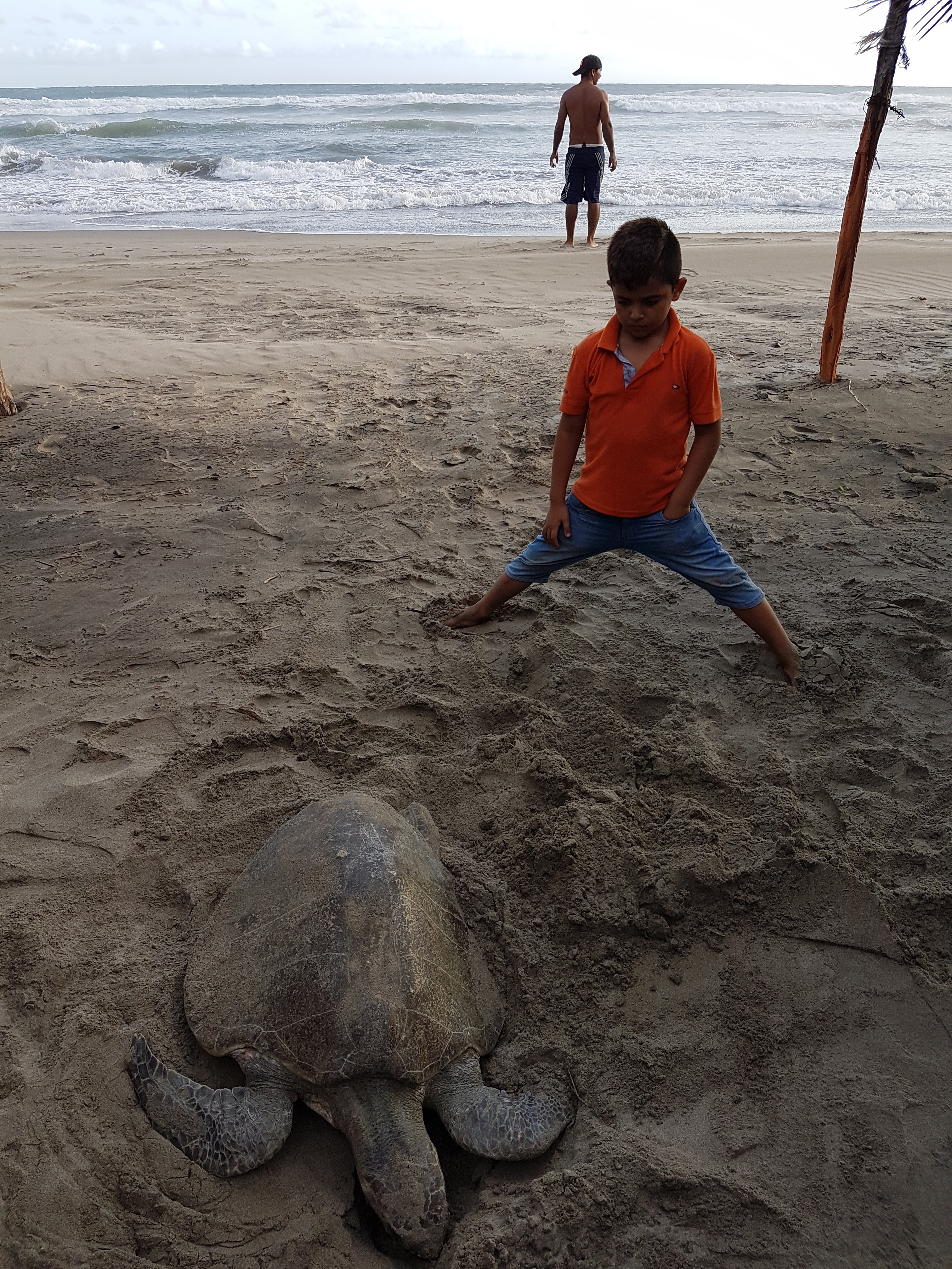 ENRAMADA ROSITA 1 image 6