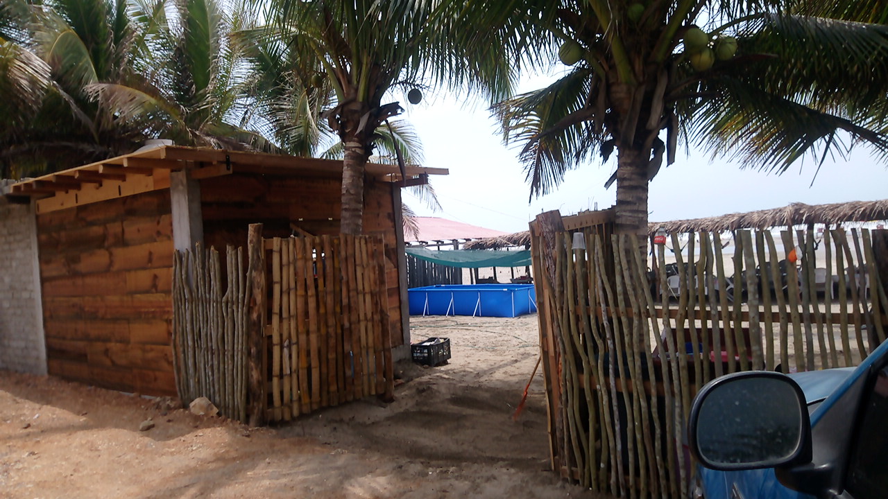 Palapa Jencaritze image 3