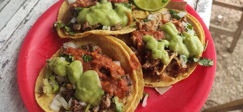 Taqueria "El Paisa de Chumayel" image 3