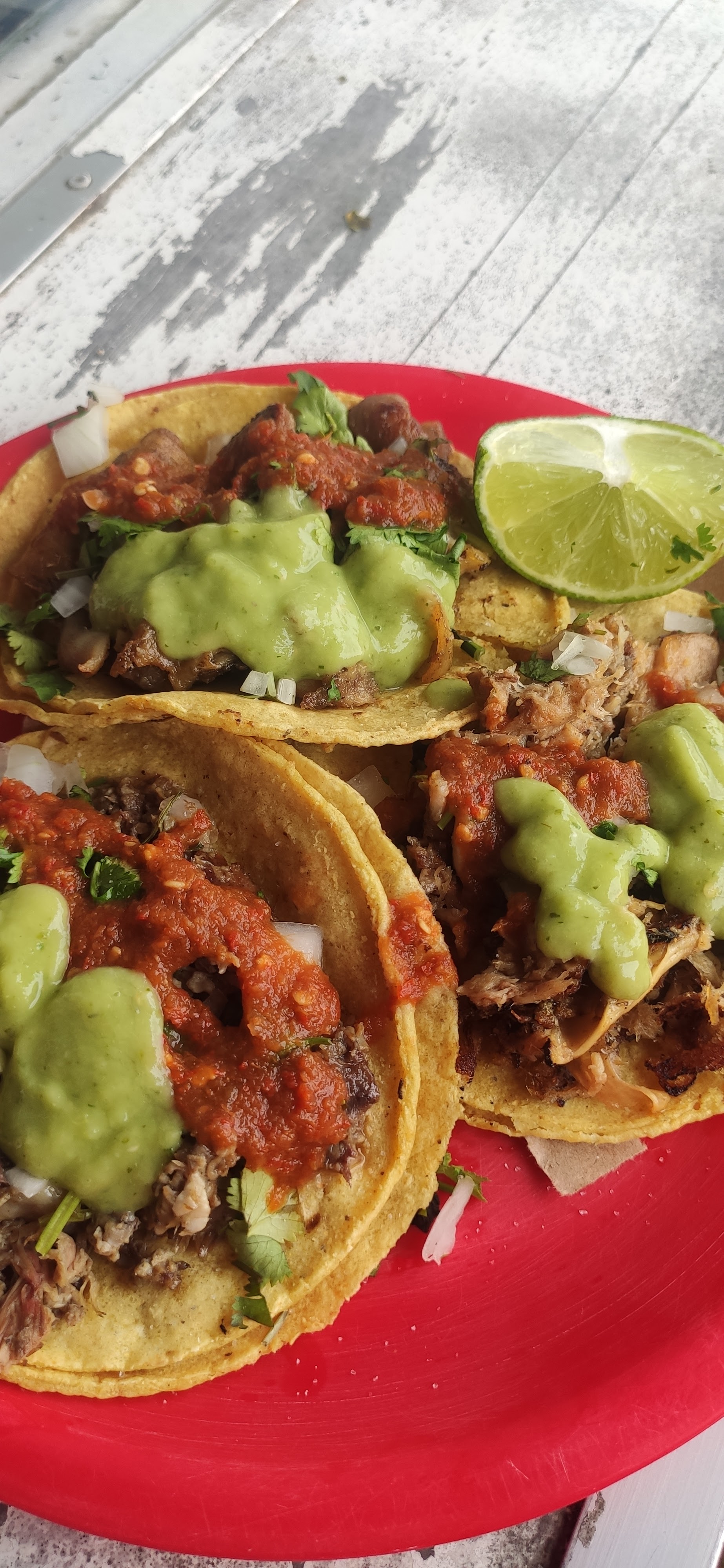 Taqueria "El Paisa de Chumayel" image 8