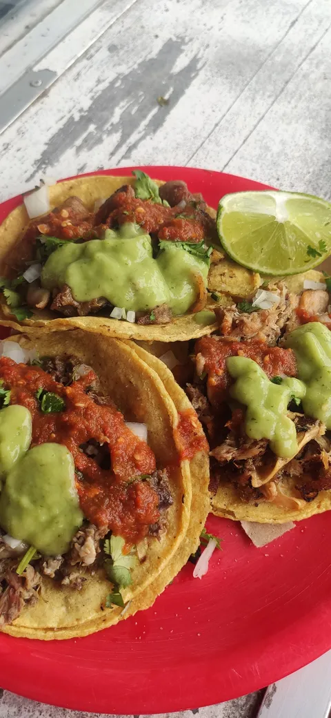 Taqueria "El Paisa de Chumayel" image 8
