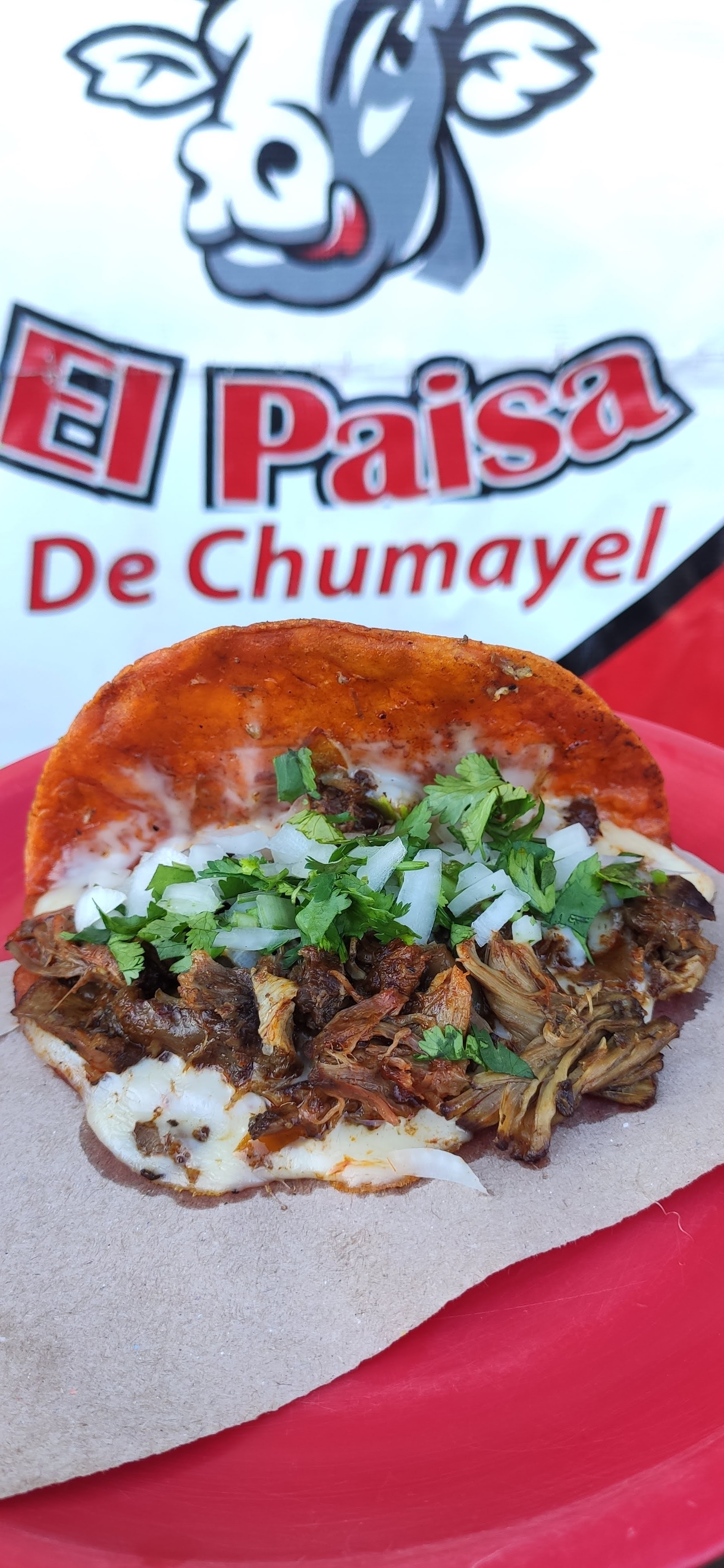 Taqueria "El Paisa de Chumayel" image 9