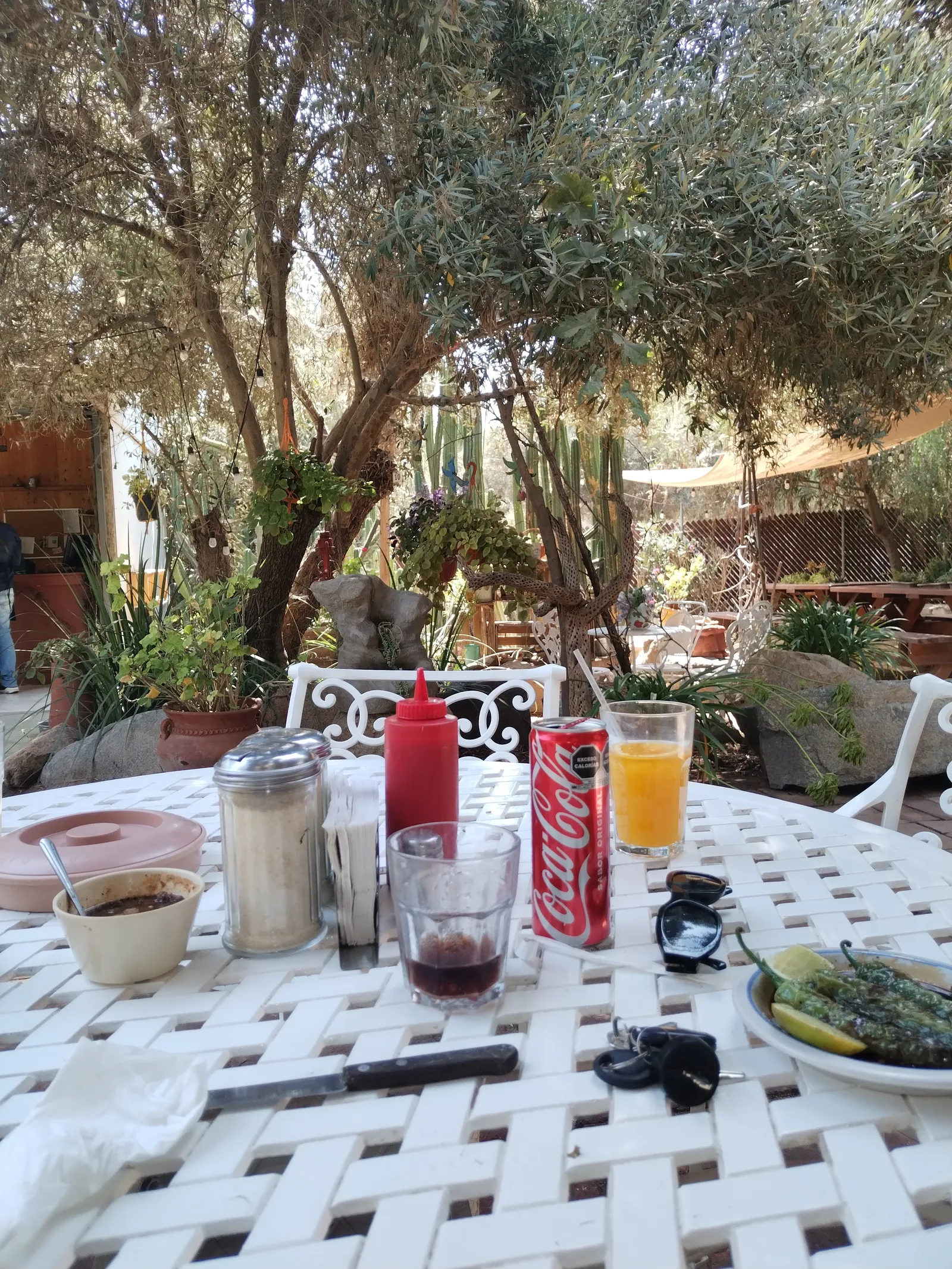 La Huerta image 4