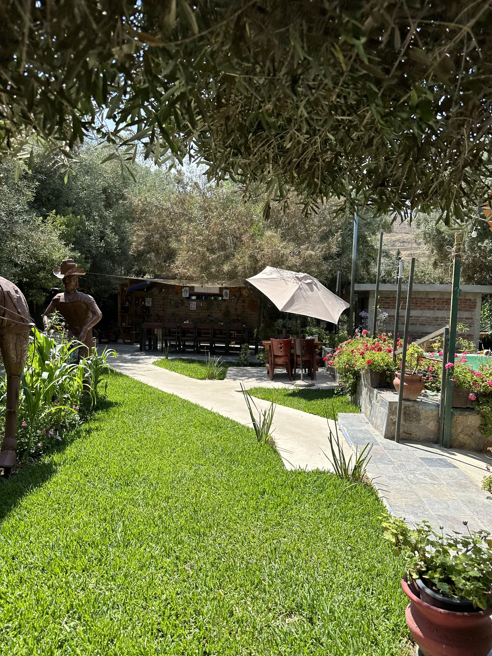 La Huerta image 10