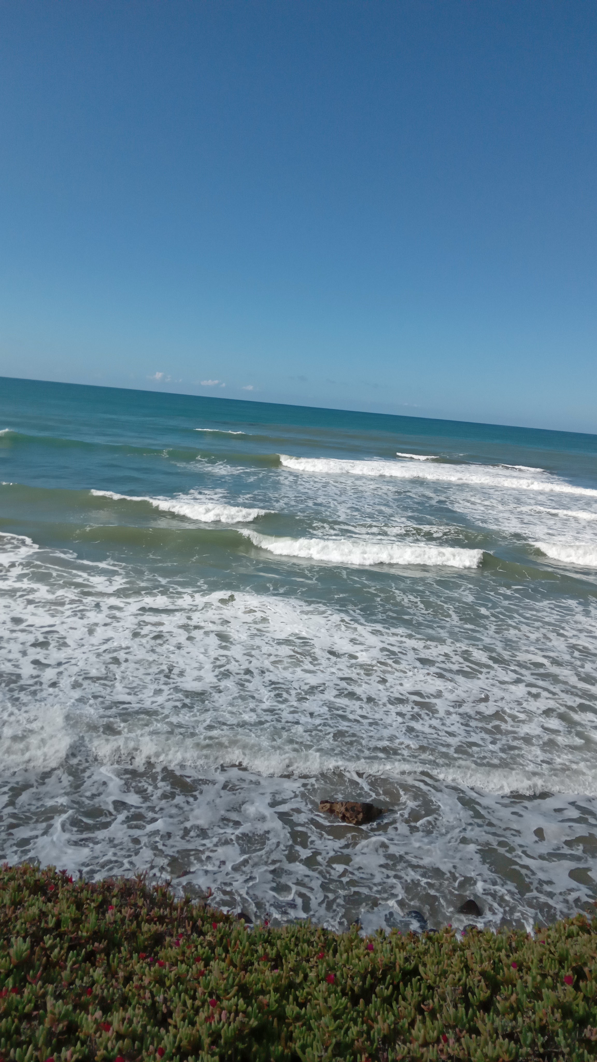 El maviri restaurant image 5