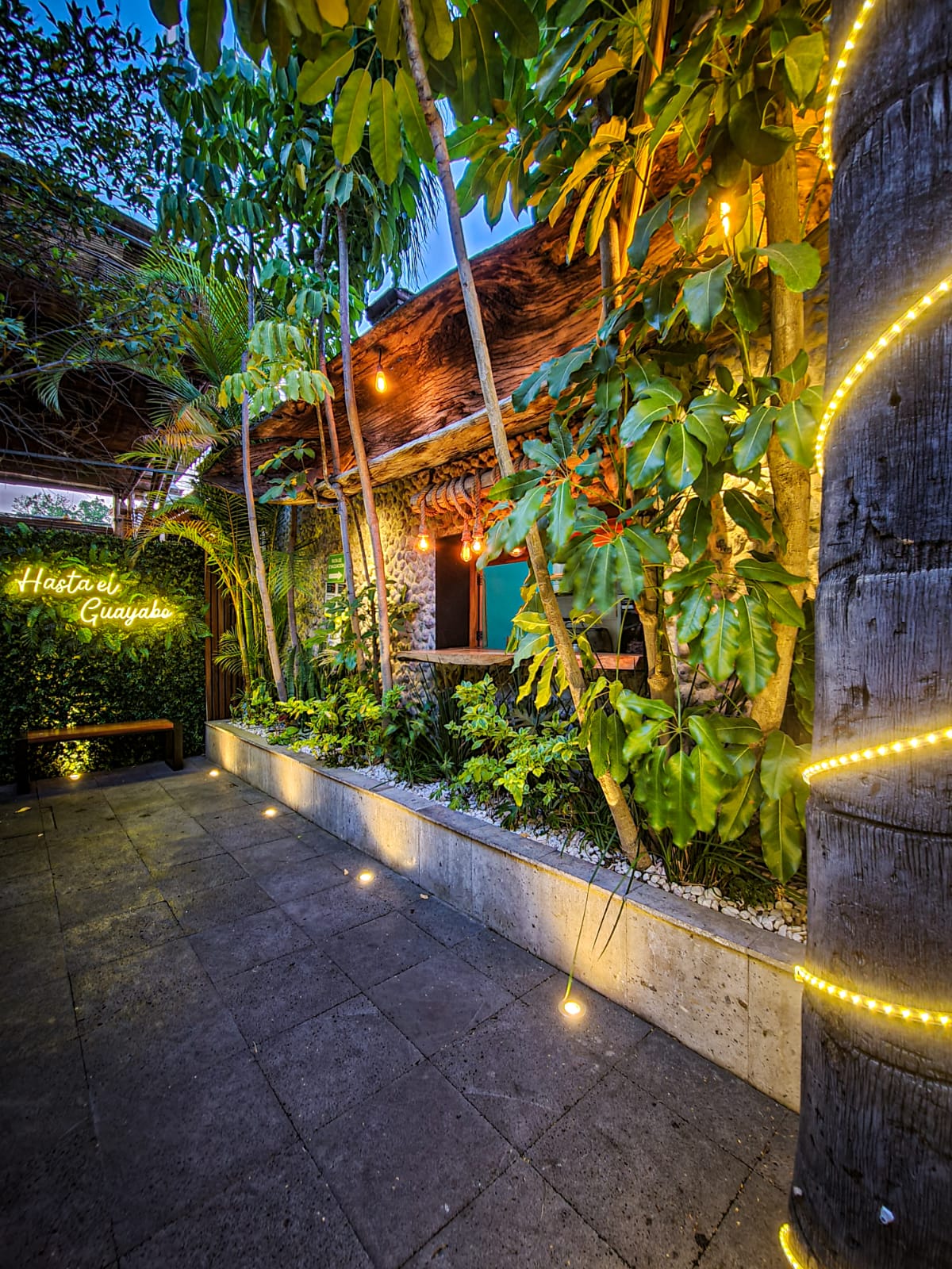 Barra Guayabo image 5