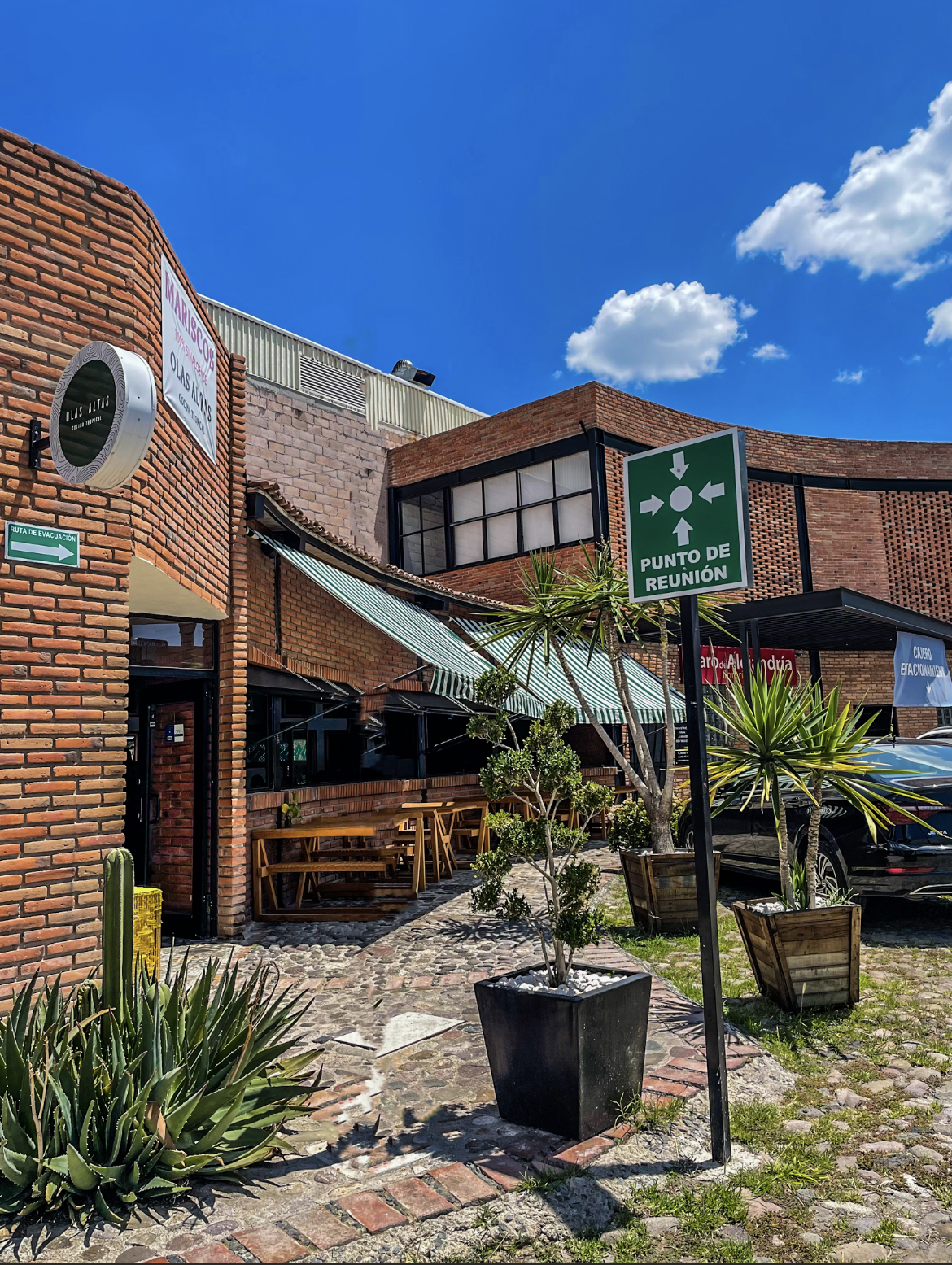 Olas altas, seafood image 6