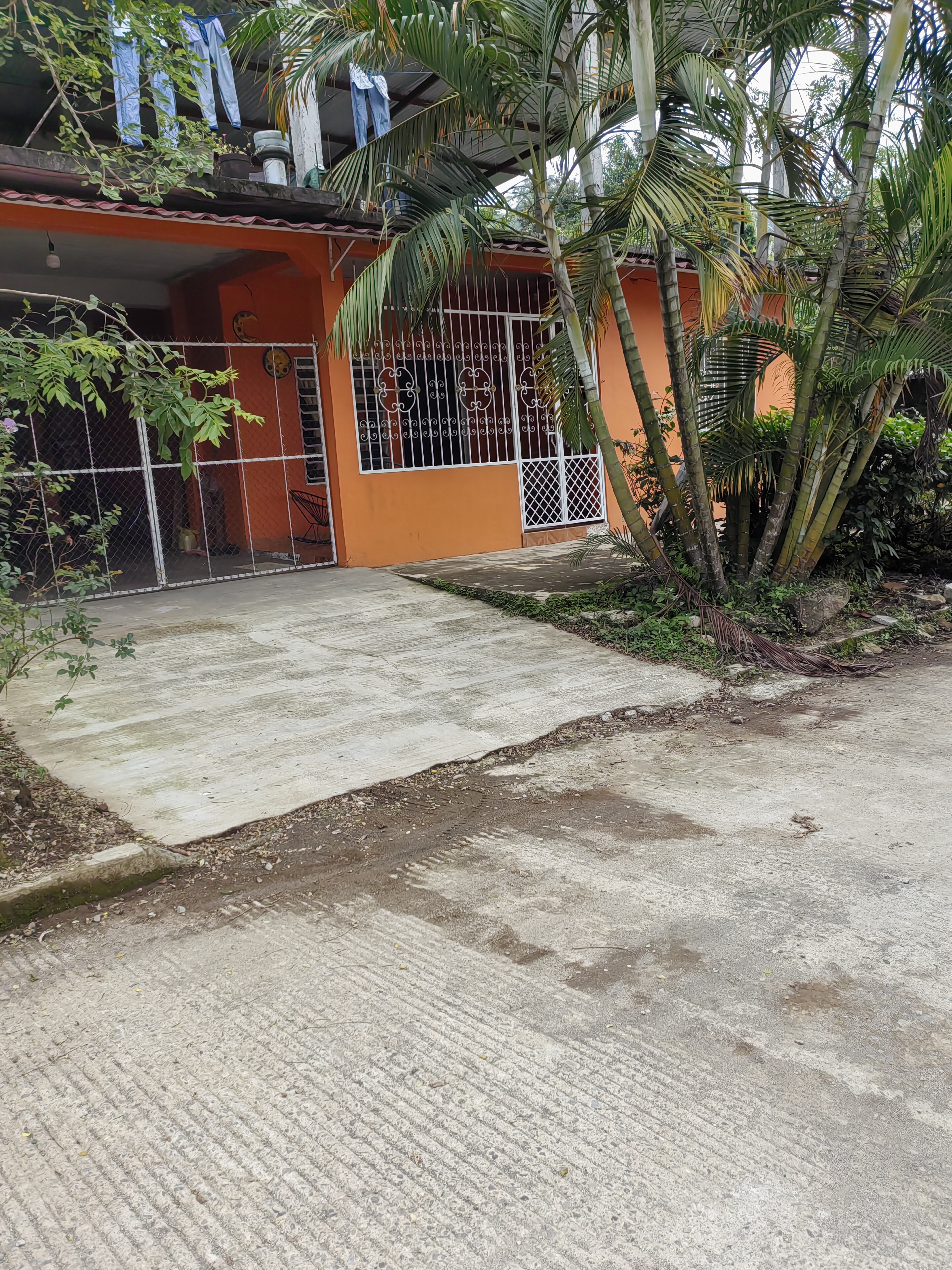 The King Chapultenango image 4