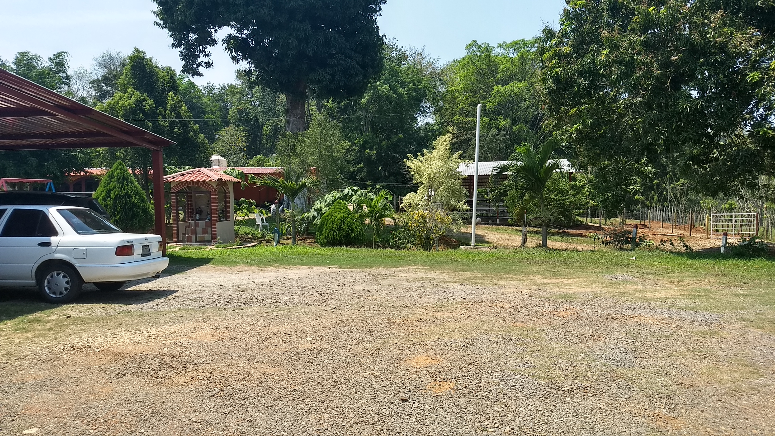 Restaurante Vista Alegre image 10