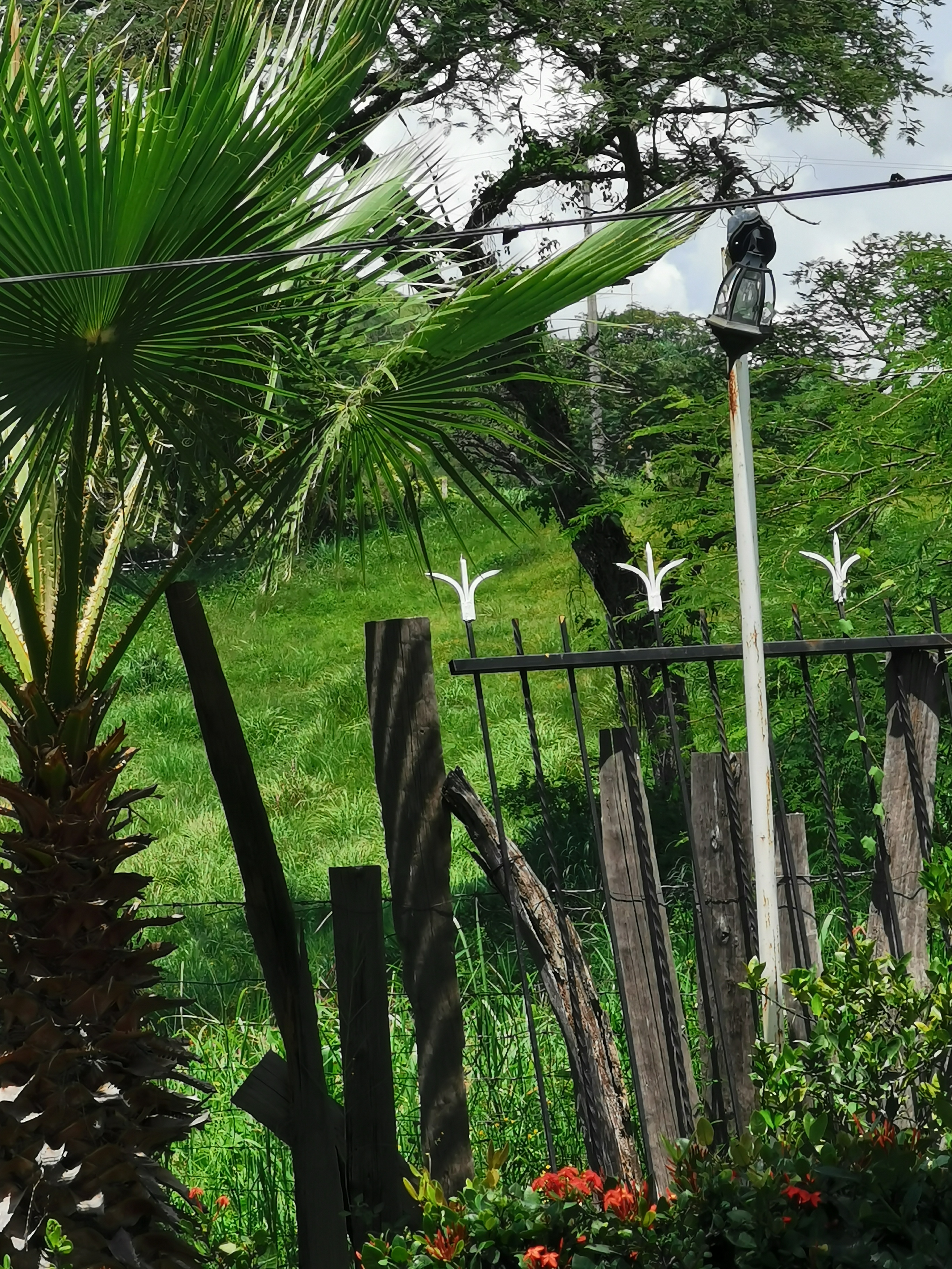 Restaurante "Las Palmas" image 6