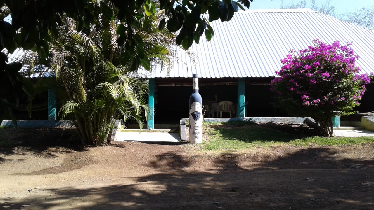 Restaurante Familiar "Los Ficus" image 5