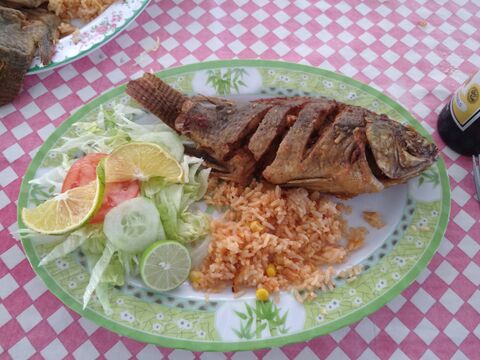 Restaurante Familiar "Los Ficus" image 6