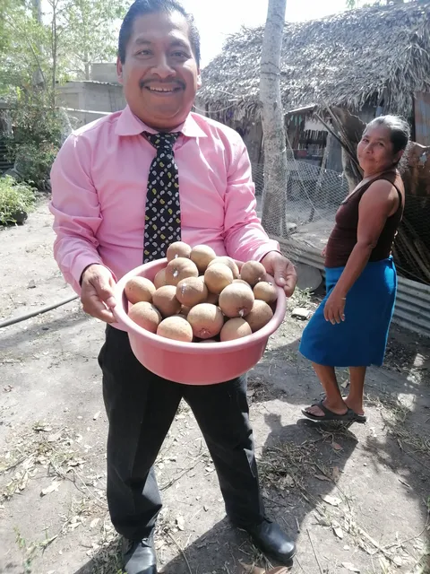 Yala-yala image 4