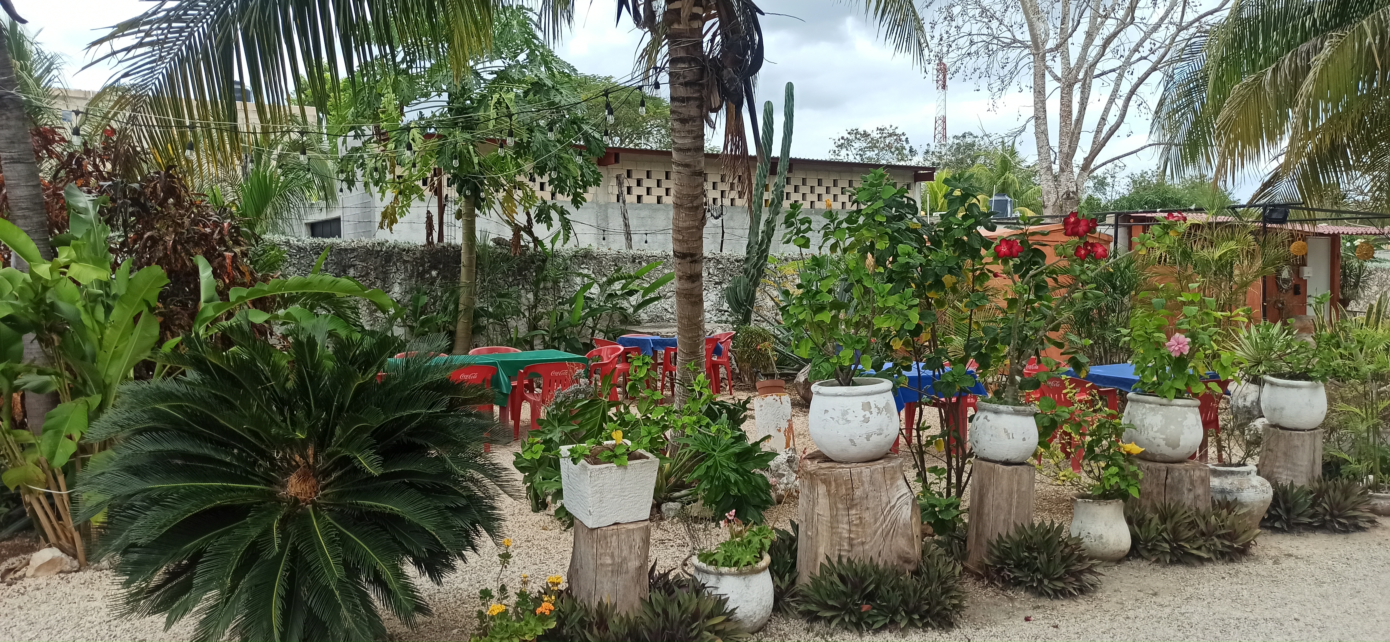 Restaurante Yépez Valladolid image 3