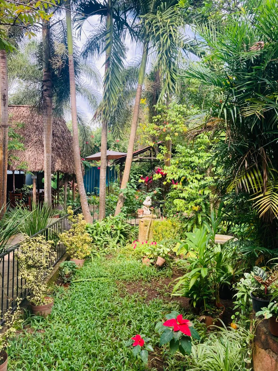 El Jardín de La Tía image 9