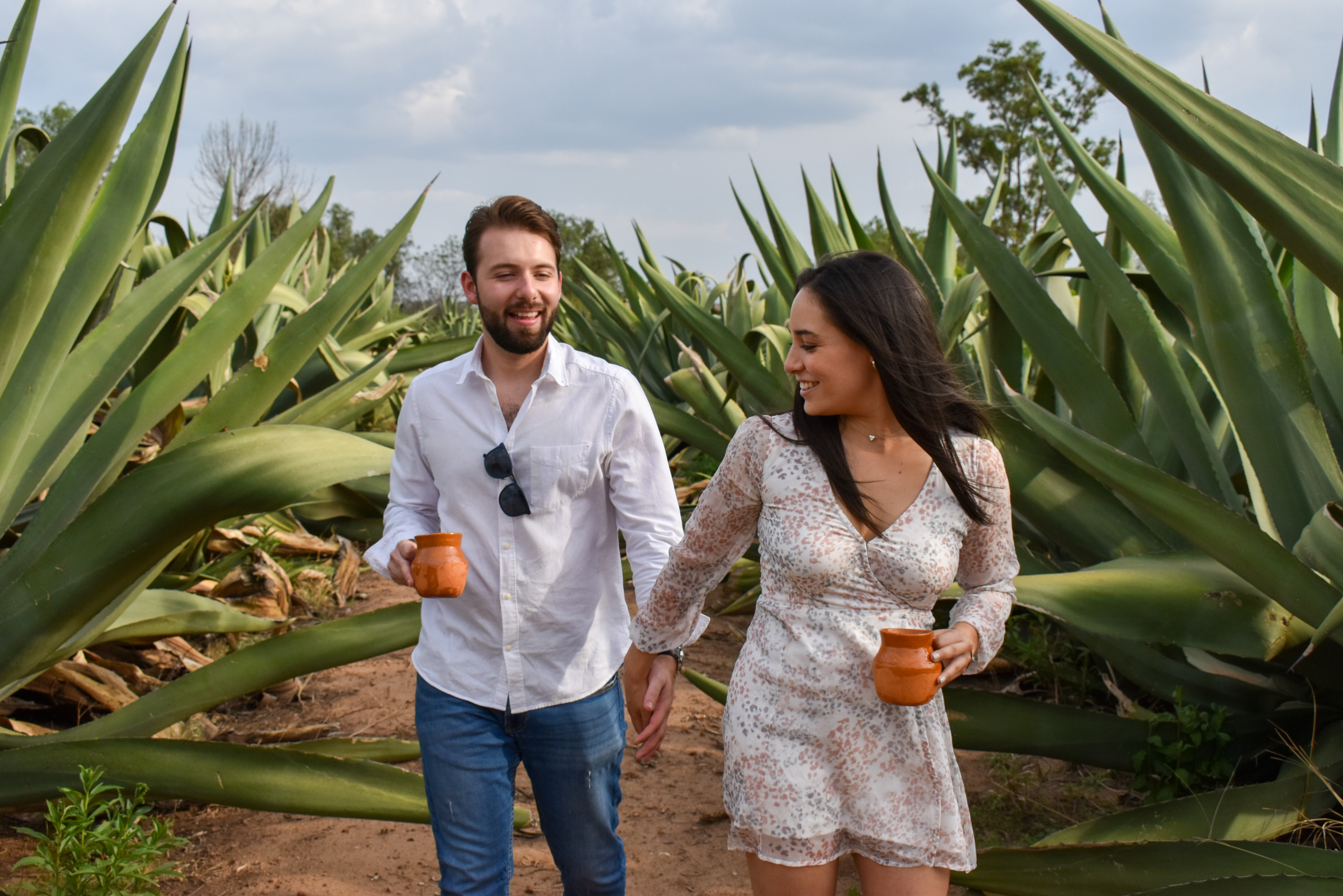 El Magueyal. Finca pulquera. image 3