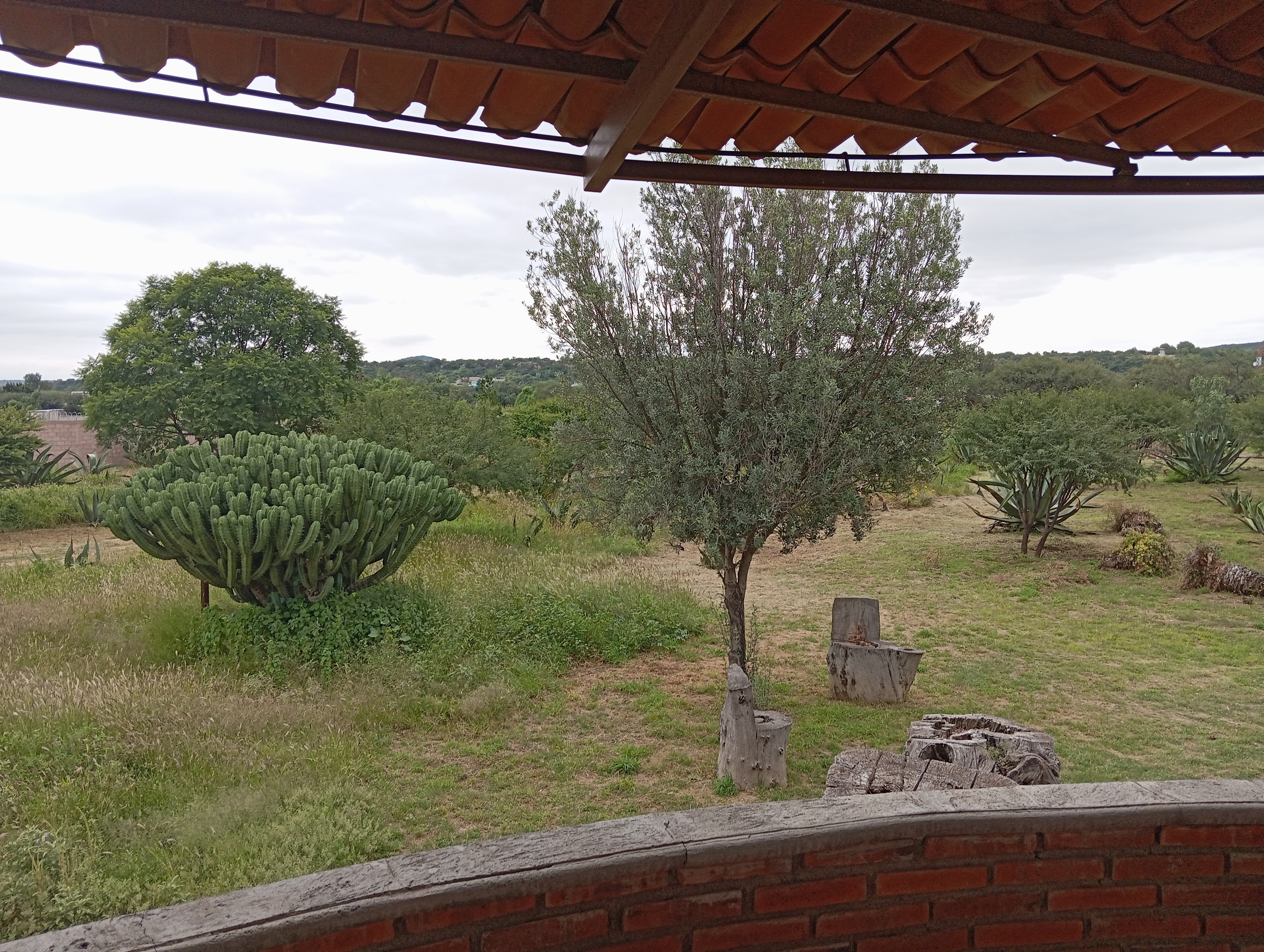 El Magueyal. Finca pulquera. image 7