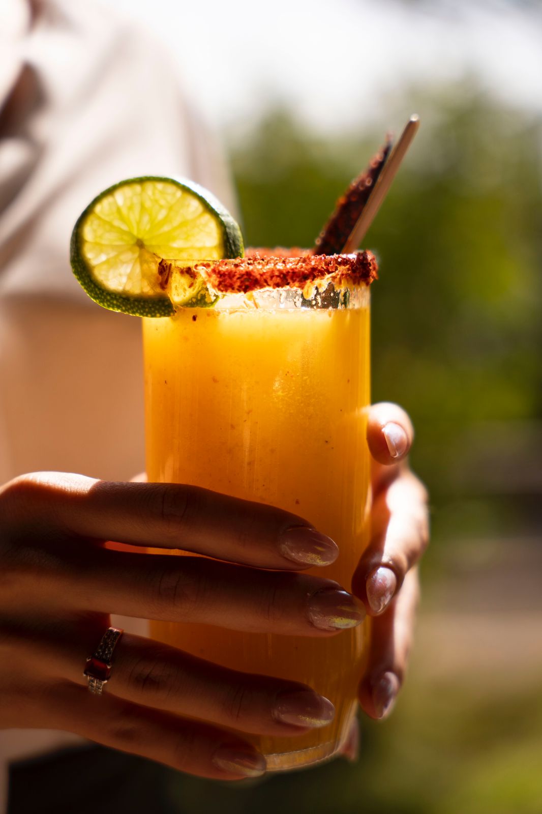 El Magueyal. Finca pulquera. image 8