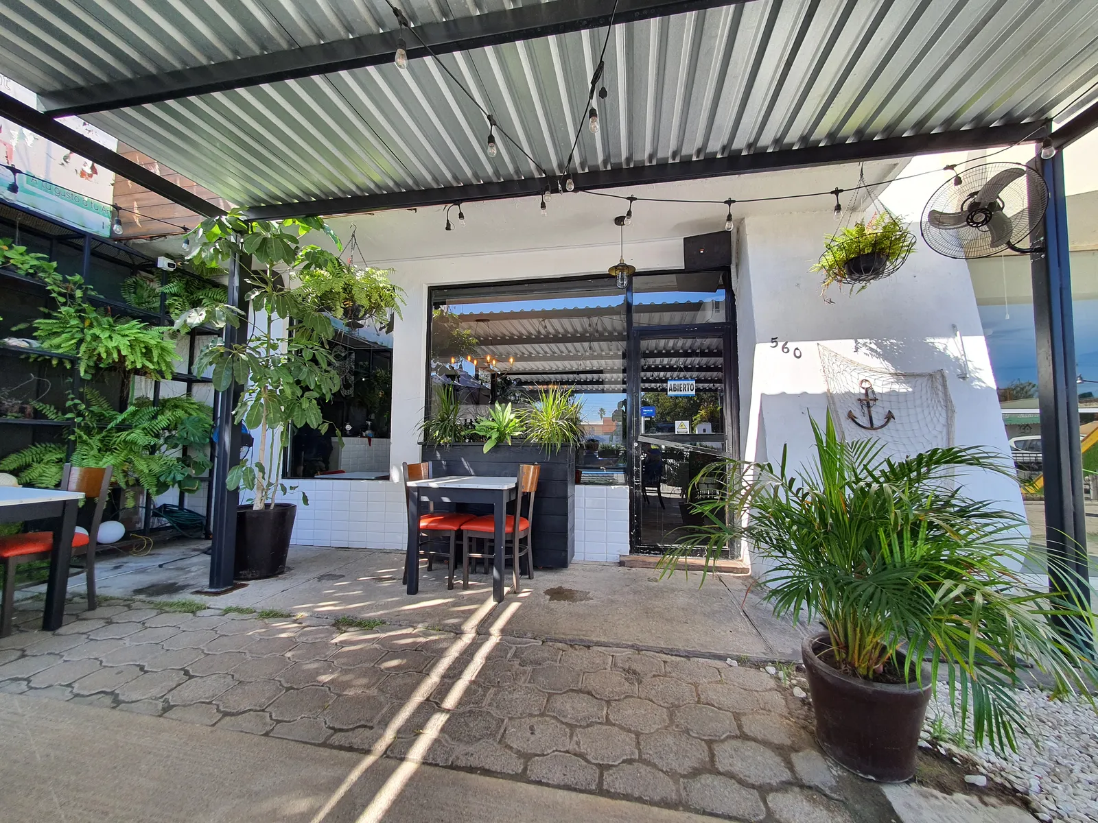 MARÍTIMO image 5