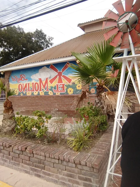El Molino image 8