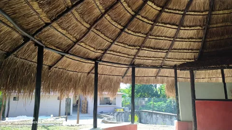 La cocina del tío Doc image 7